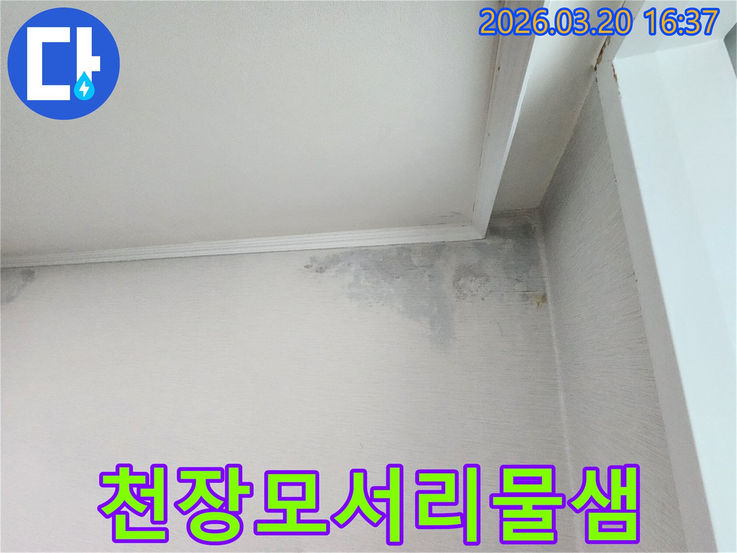 천장과-벽면의-모서리에서-발생한-물샘-현상으로-인한-심각한-변색