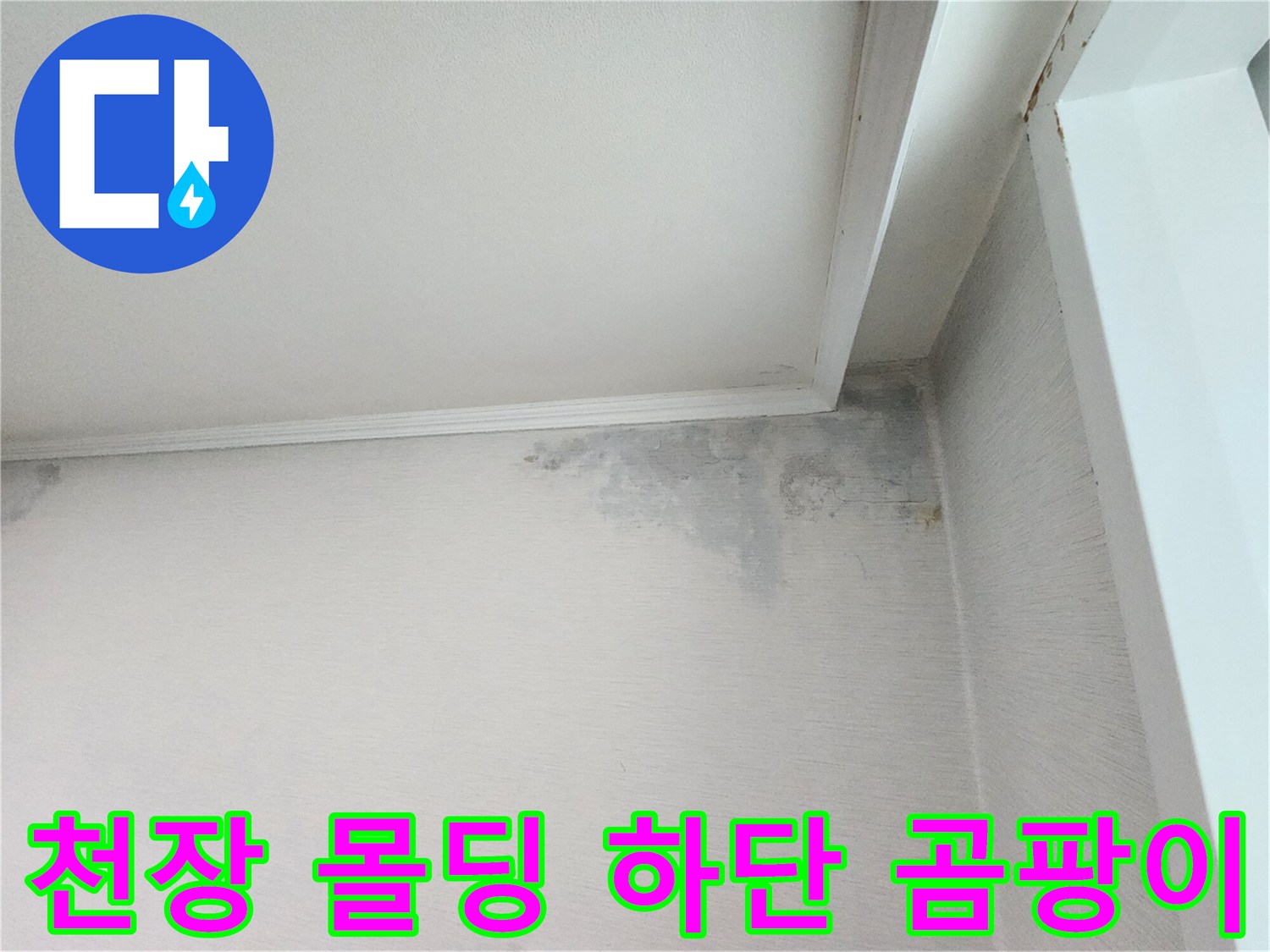 천장과 벽의 경계면에 발생한 누수 및 곰팡이 오염 부위
