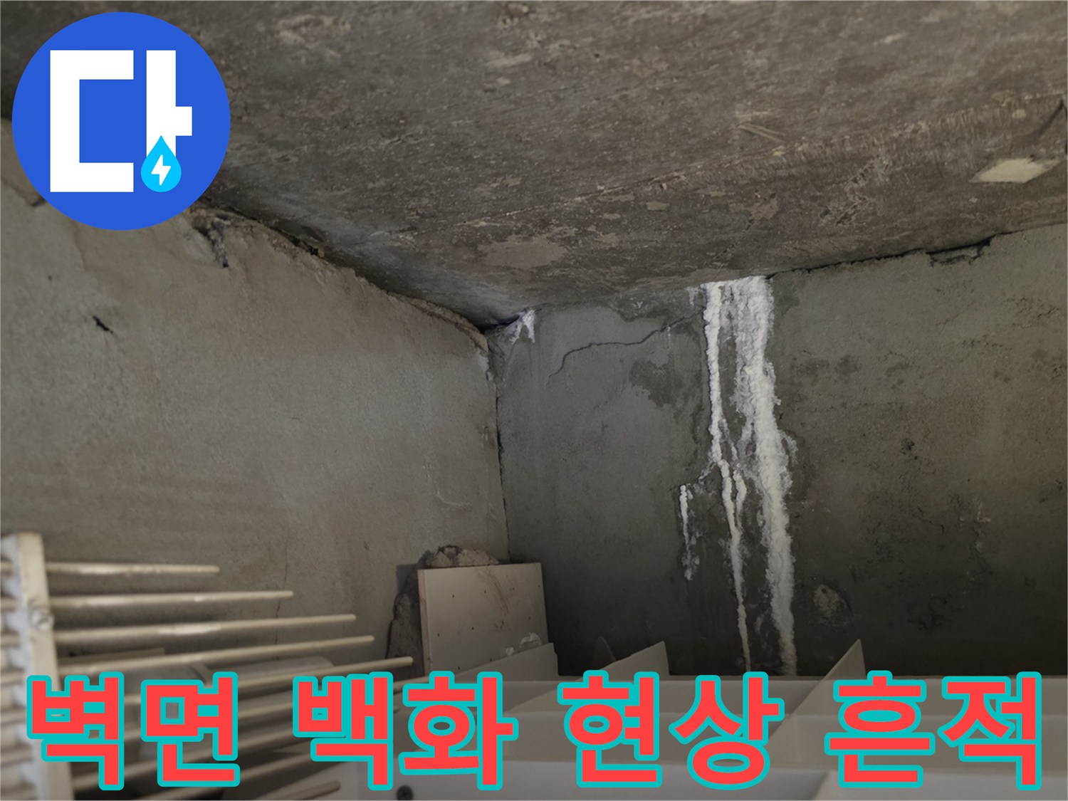 분당 수내동 현장-벽면에 나타난 하얀 백화 현상과 젖은 자국
