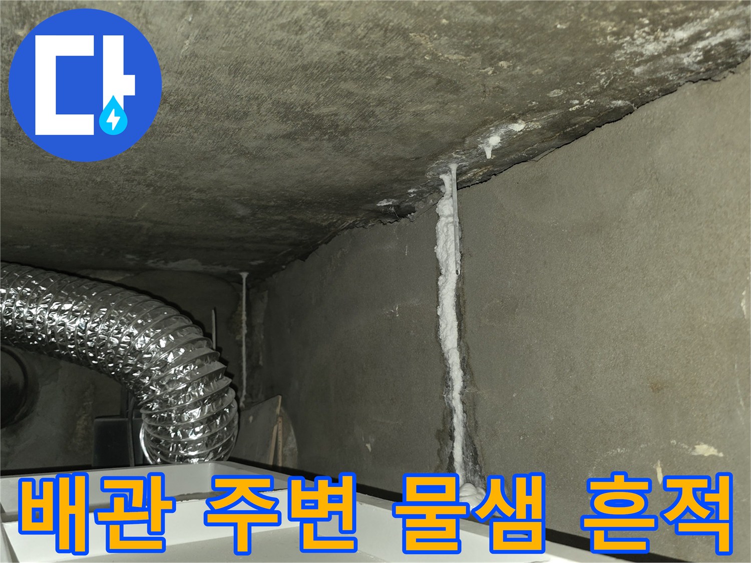 천장 구조물 사이의 하얀 백화 현상과 습기