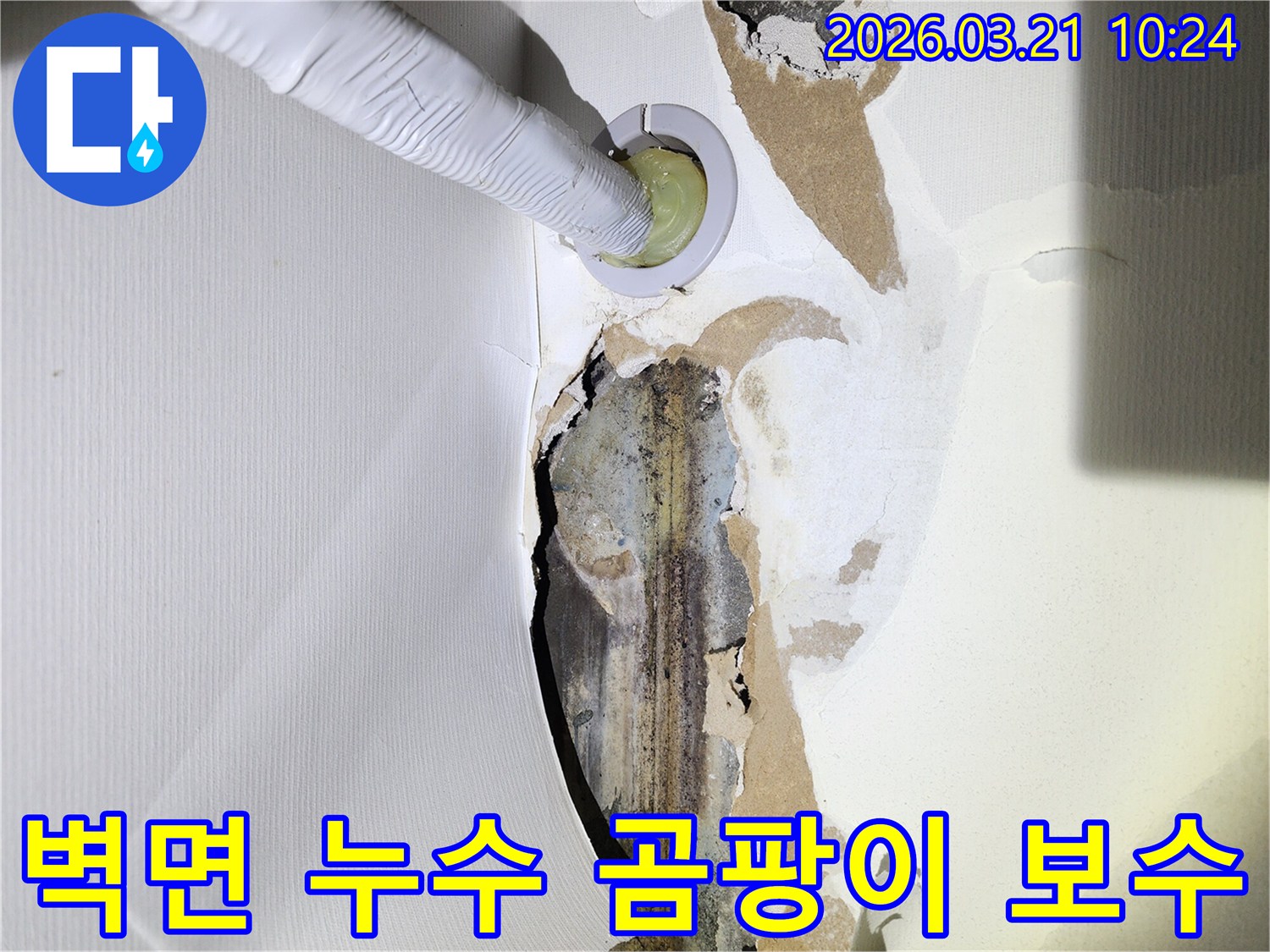 누수로-인해-벽지가-손상되고-곰팡이가-피어있는-아파트-벽면에-누수-탐지-장비가-삽입된-모습