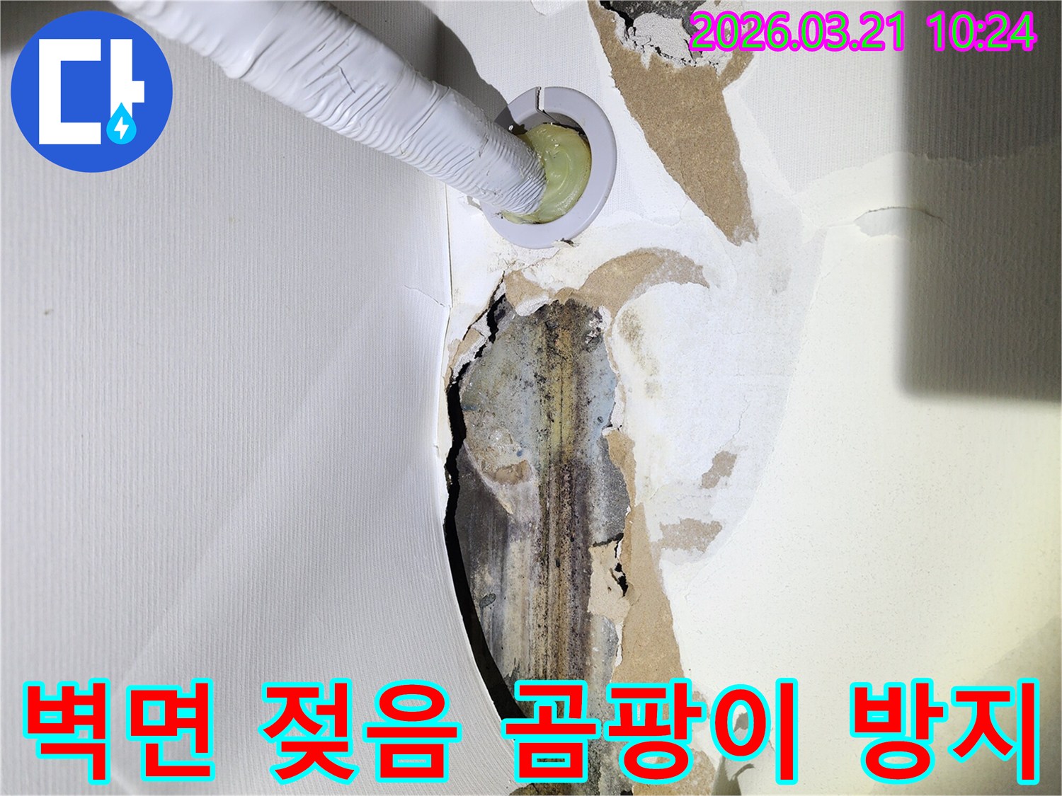 누수로-인해-벽지가-손상되고-젖은-벽면에-누수-탐지-장비가-삽입되어-곰팡이-재발을-방지하기-위한-진단을-진행하는-모습