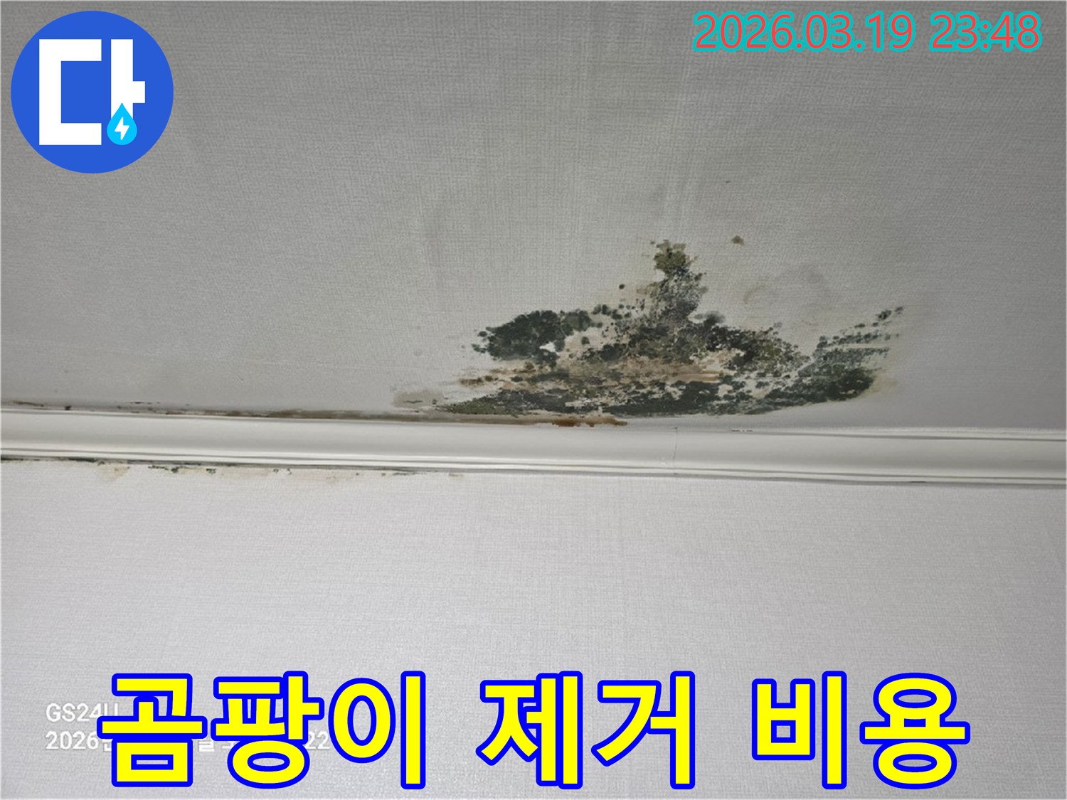 천장-벽지에-발생한-심각한-누수-곰팡이-오염-현장으로-제거-비용-상담이-필요한-상태