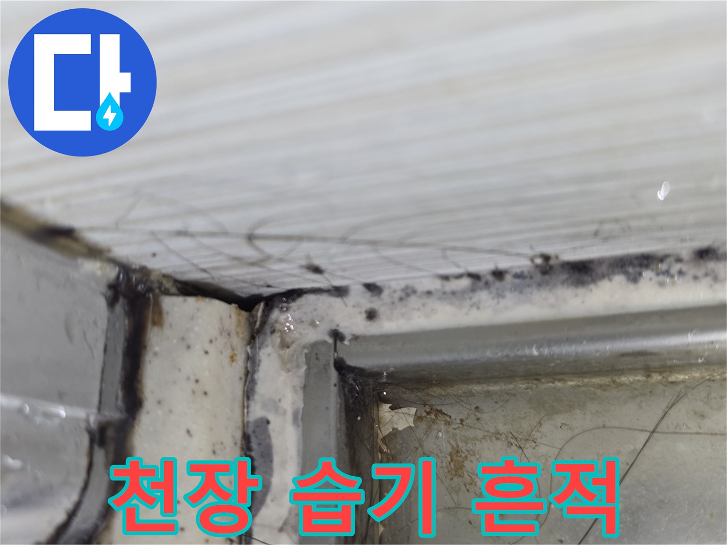 물샘-증상으로-어둡게-변한-천장-내부-모습