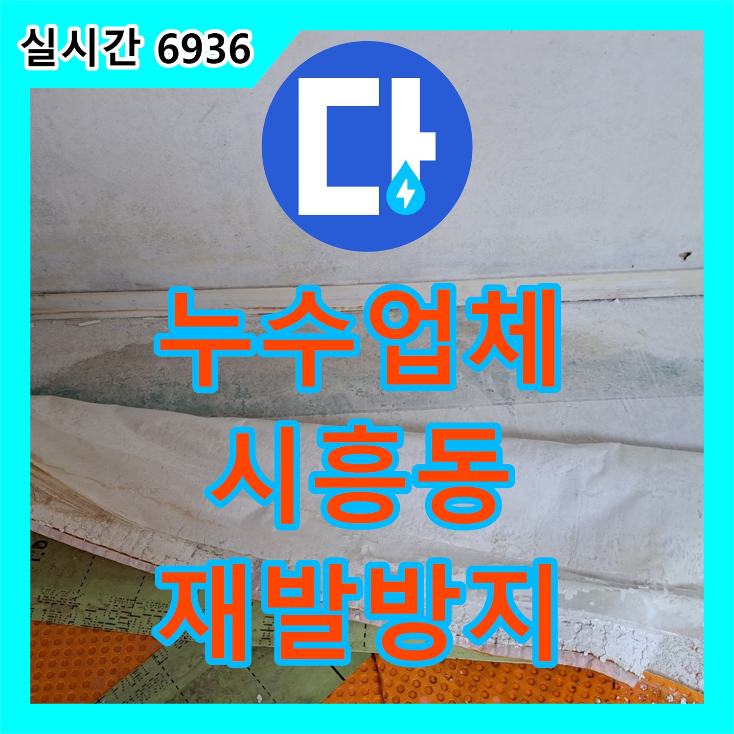 누수설비업체, 보일러 배관에서 시작된 누수, 근본적인 원인을 찾아 해결해 드린 금천구 가산동