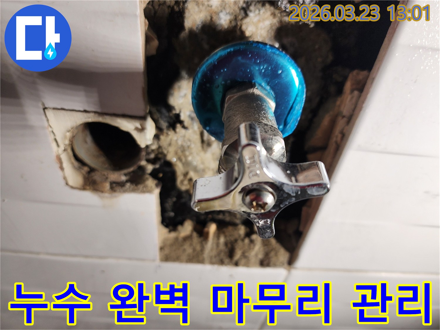 포천시-소흘읍-누수-현장에서-완벽한-마무리와-철저한-사후-관리를-약속하는-작업-진행