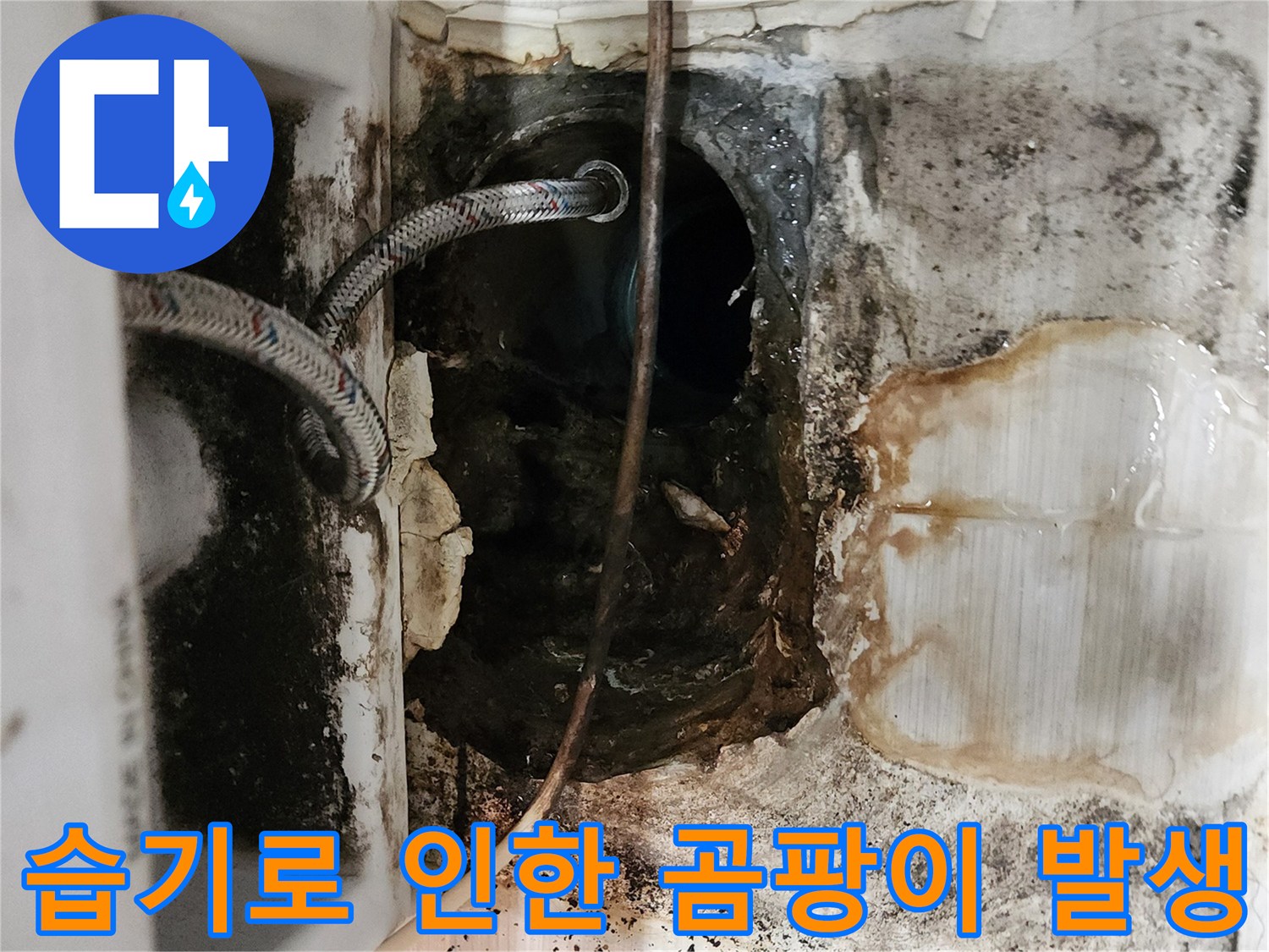 배관 주변의 검은 곰팡이-누수로 인한 부식 및 오염