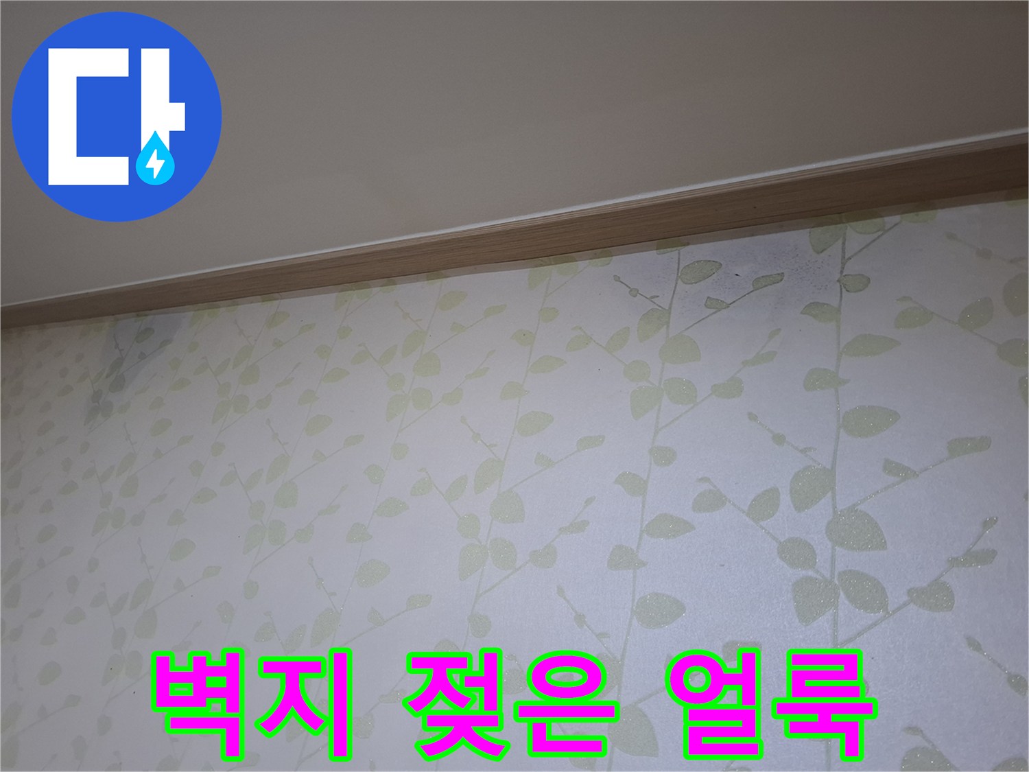 벽지 상단에 발생한 습기 젖음 현상 - 누수 피해 부위