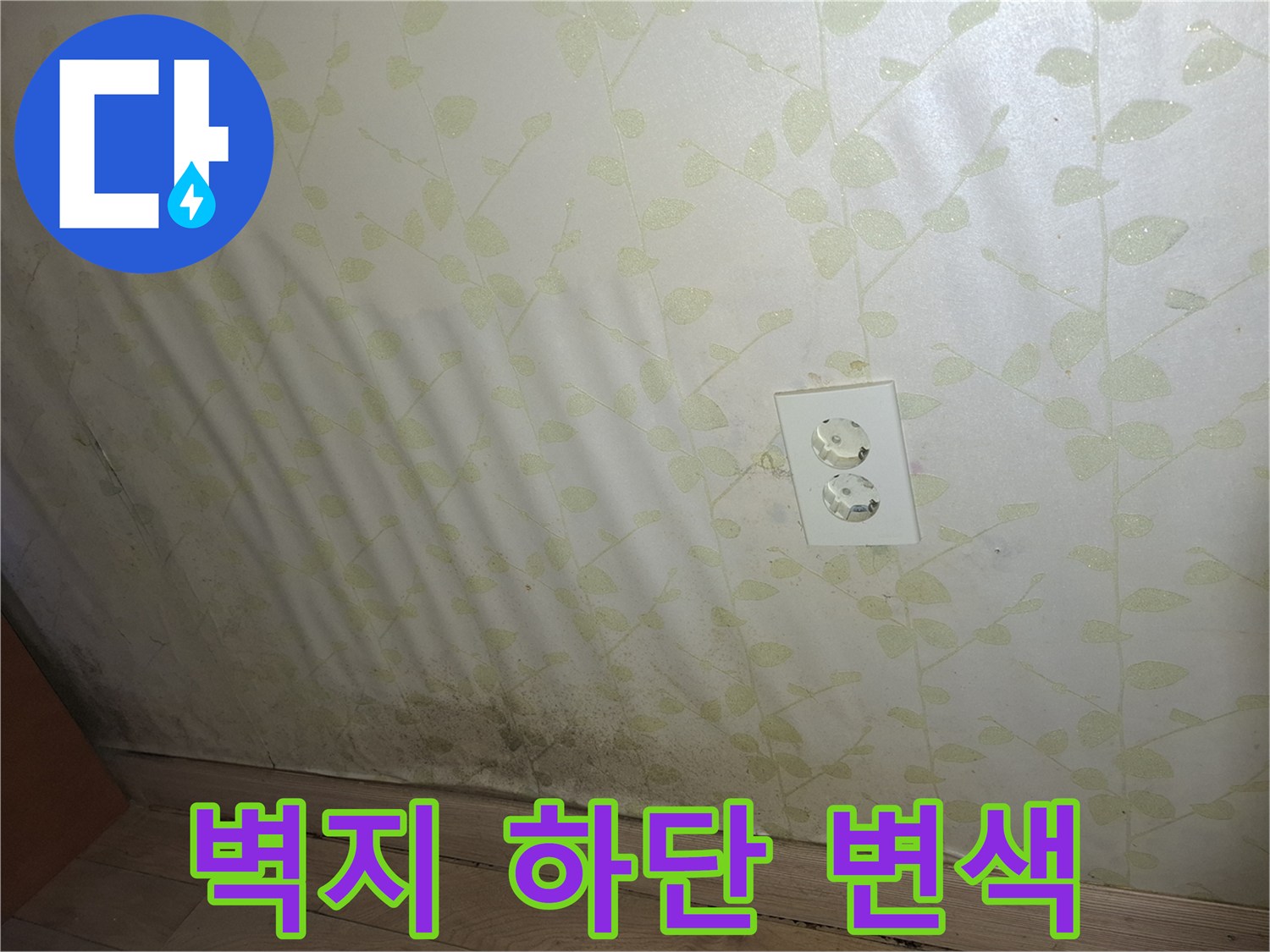 벽지 아래쪽의 곰팡이와 습기 얼룩