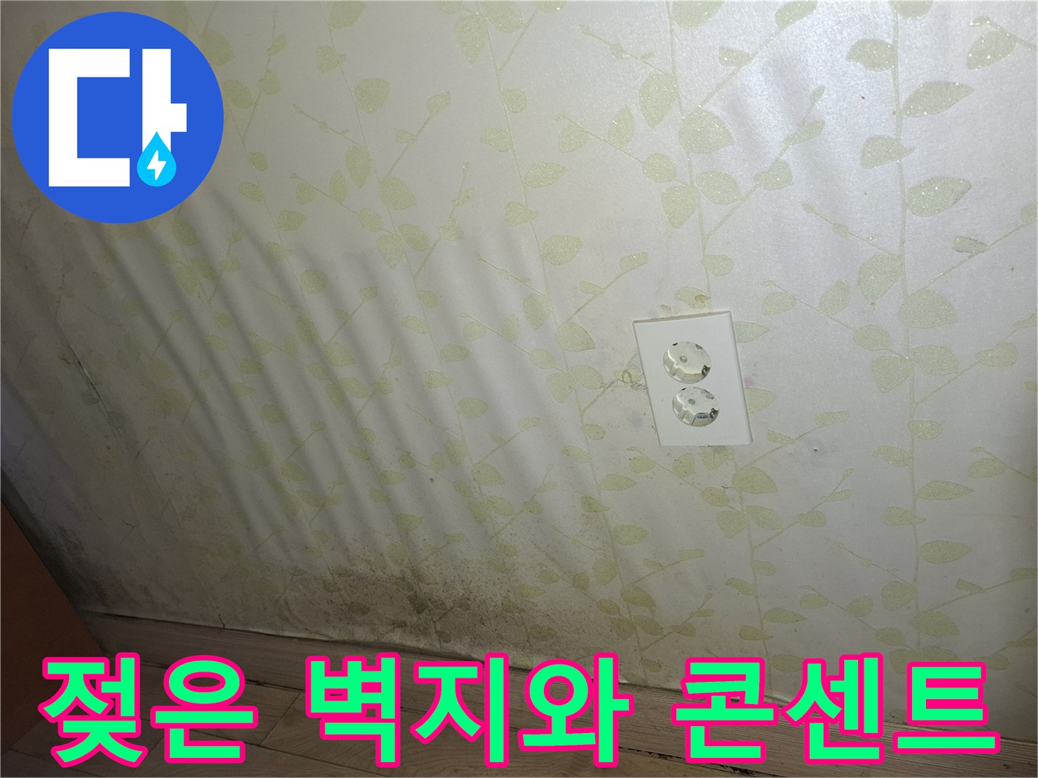 벽지 하단부-습기로 인한 변색과 곰팡이 흔적