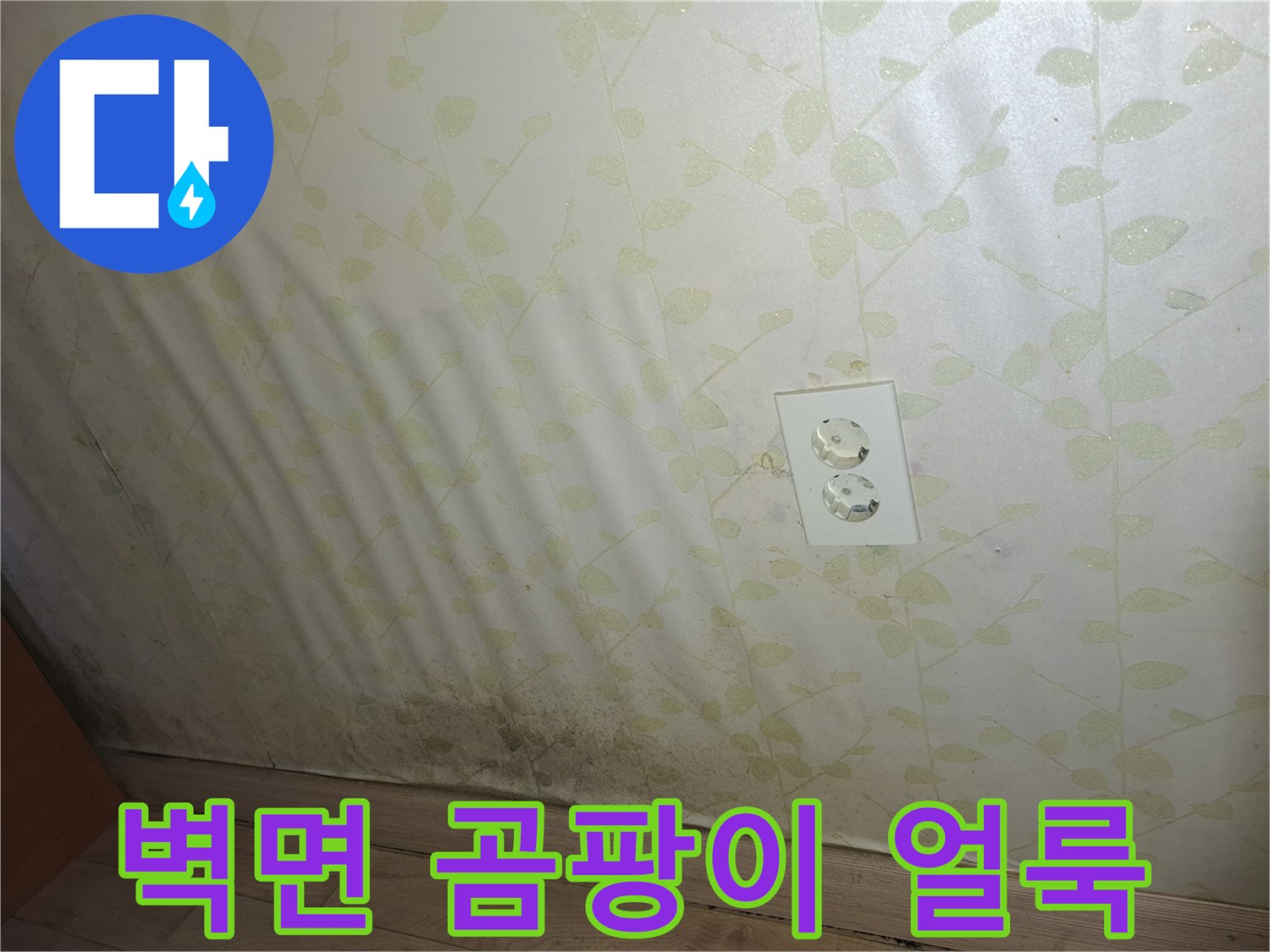 벽지 하단에 나타난 누수 흔적 및 곰팡이 부위