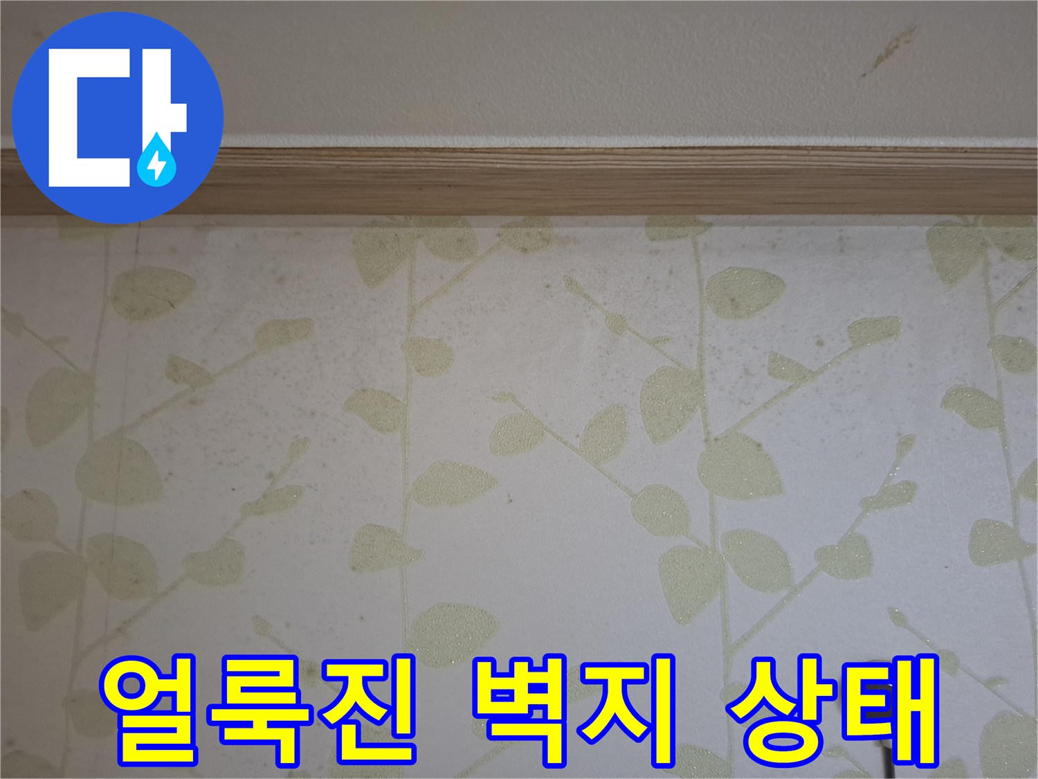 벽지에 발생한-습기로 인한 얼룩과 곰팡이 흔적
