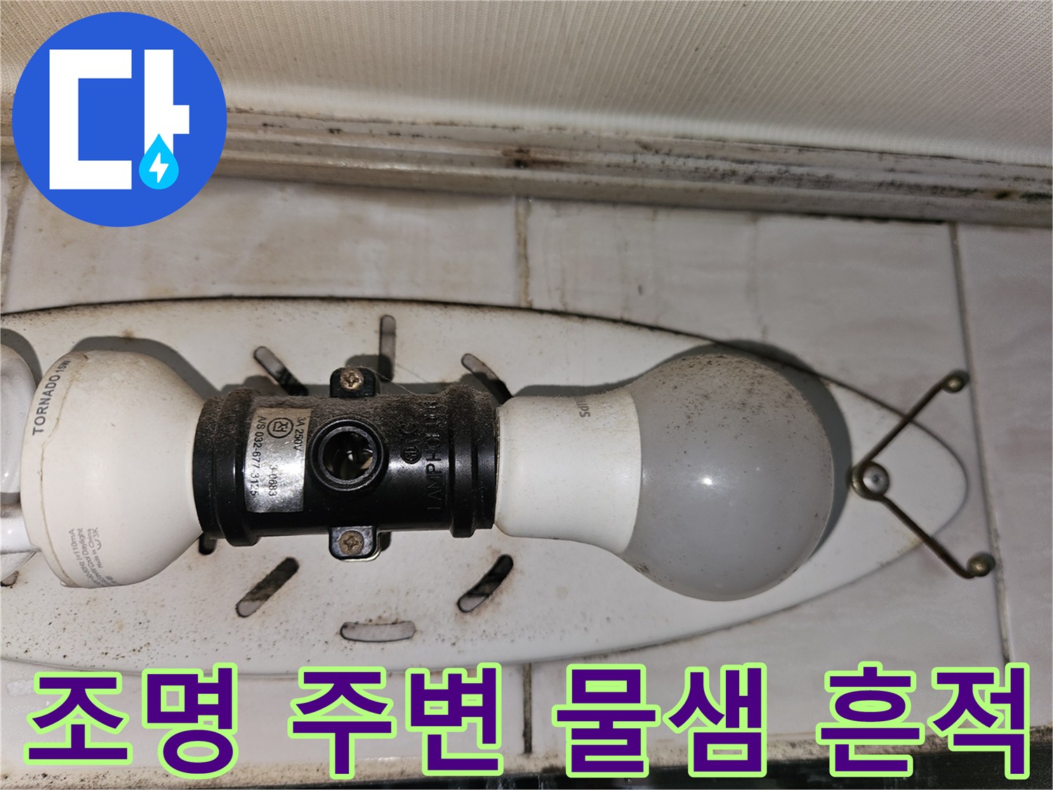 화장실 천장 조명 인근의 습기 맺힌 타일 - 누수 지점 확인