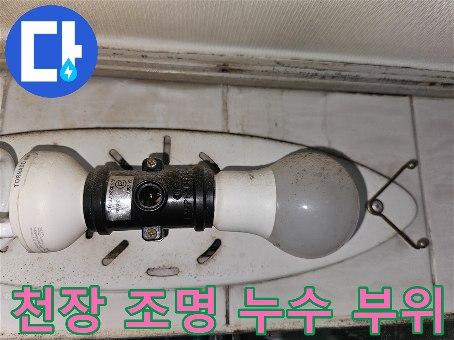 화장실 천장등 주변의 젖은 타일 표면 - 배관 누수 의심 지점