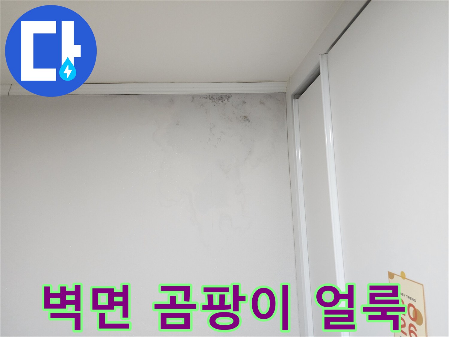 누수로 인해 오염된 벽지 상단 영역