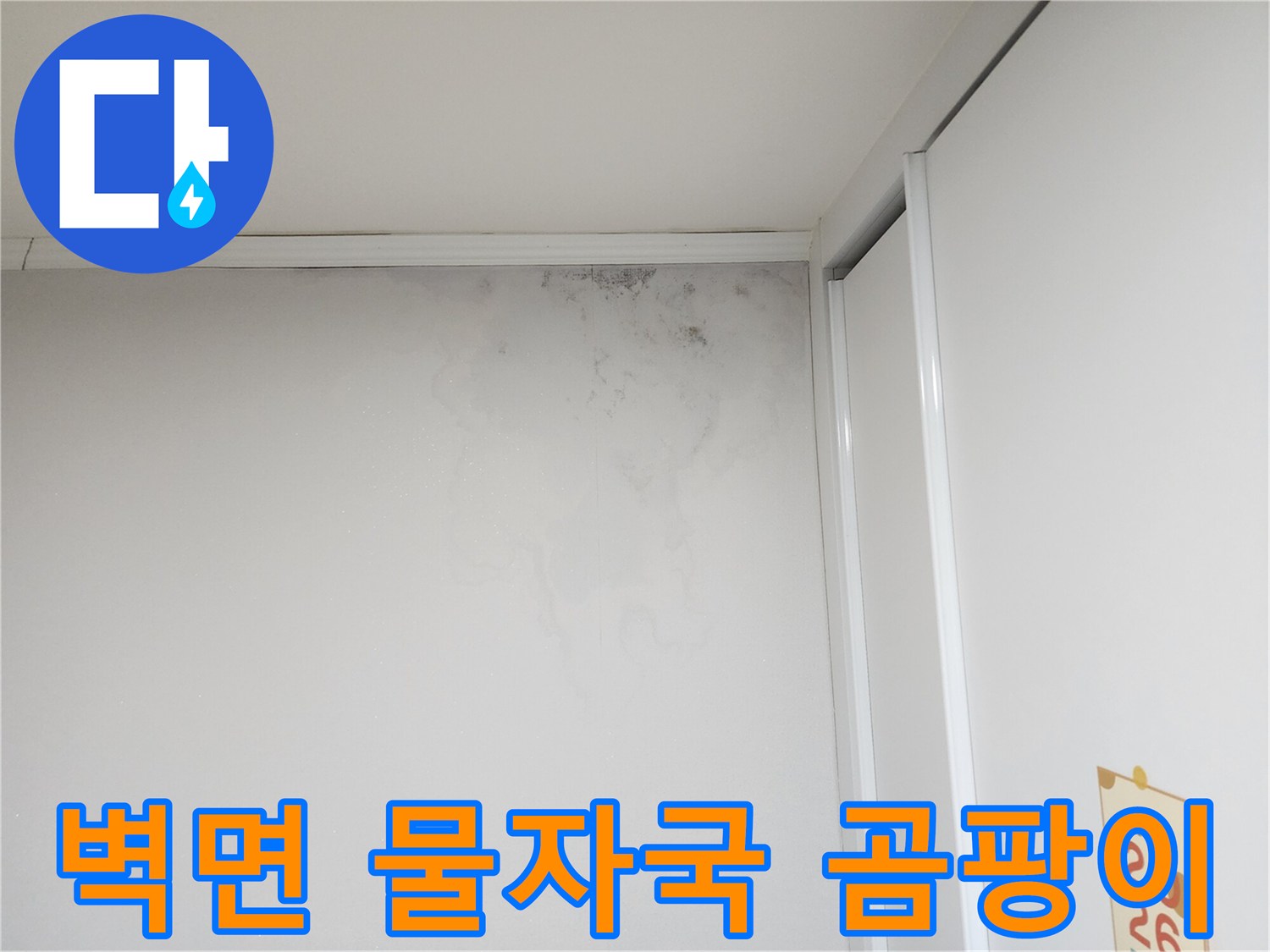 천장 하단 벽면-심한 곰팡이와 습기 침투 흔적