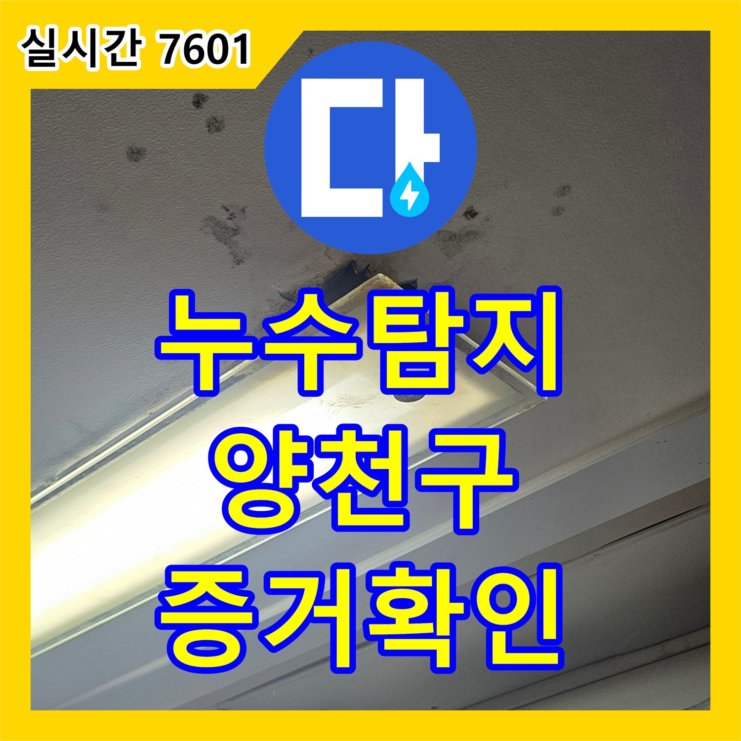 누수탐지전문가가 확인한 바닥 마루 백화 현상의 명확한 누수 증거 - 서울 양천구