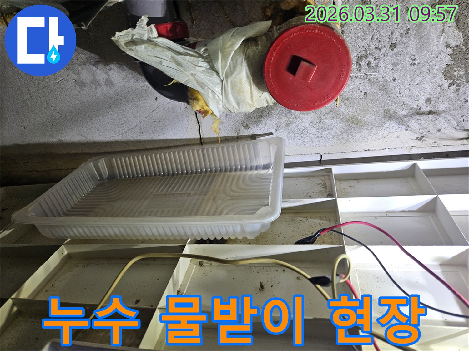 누수-발생-현장에서-물방울을-받아내고-있는-플라스틱-용기와-주변-배관-점검