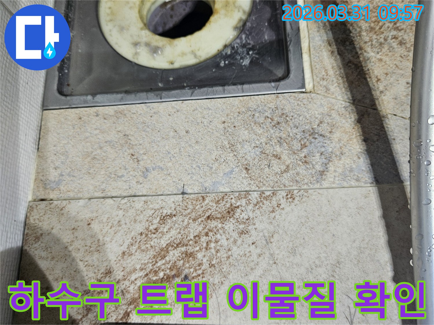 머리카락과 이물질로 가득 찬-욕실 하수구 트랩의 모습과-주변 타일의 오염 상태를 보여줍니다.