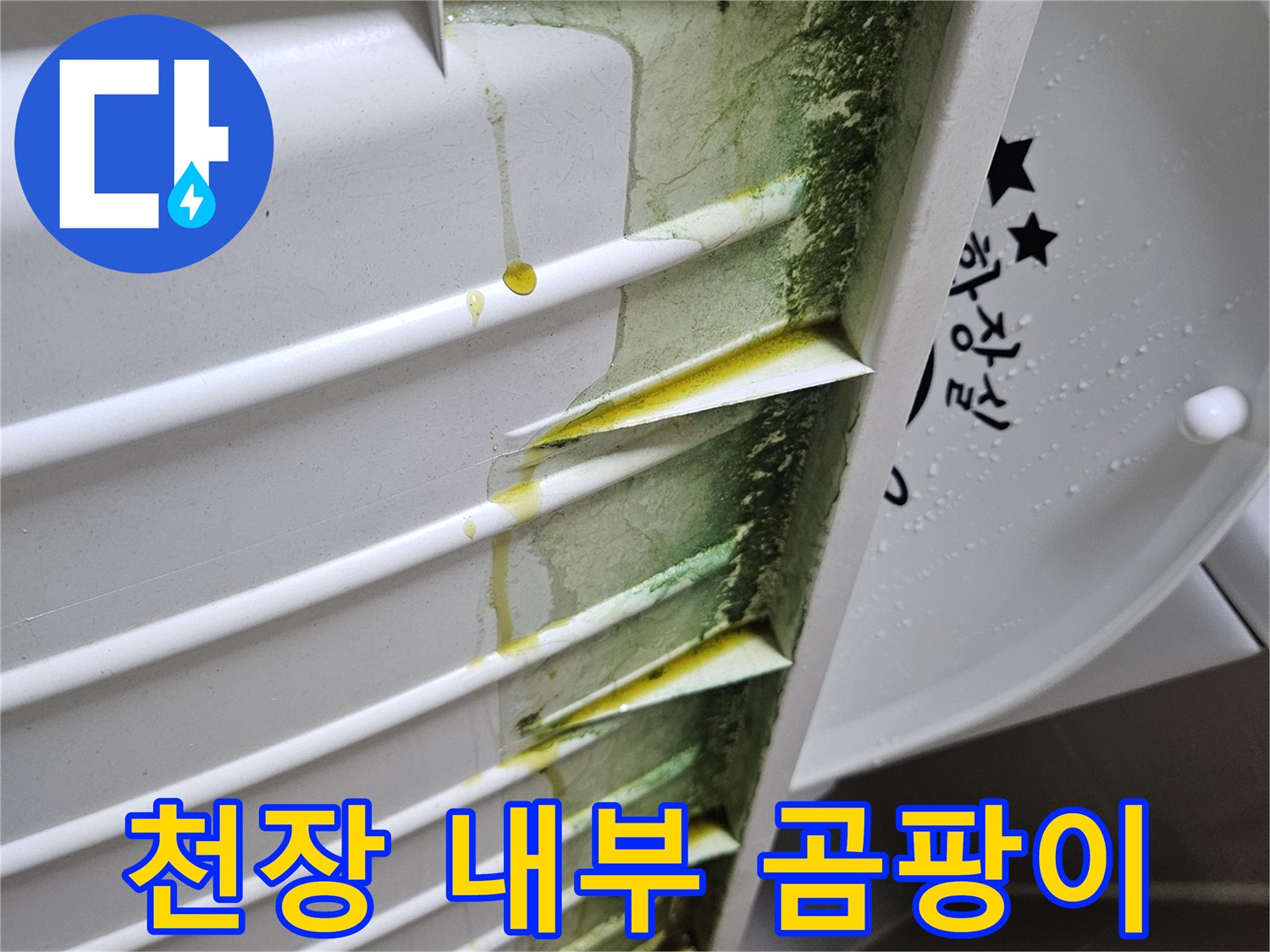 배관-주변-마감재의-초록색-곰팡이와-습기-흔적