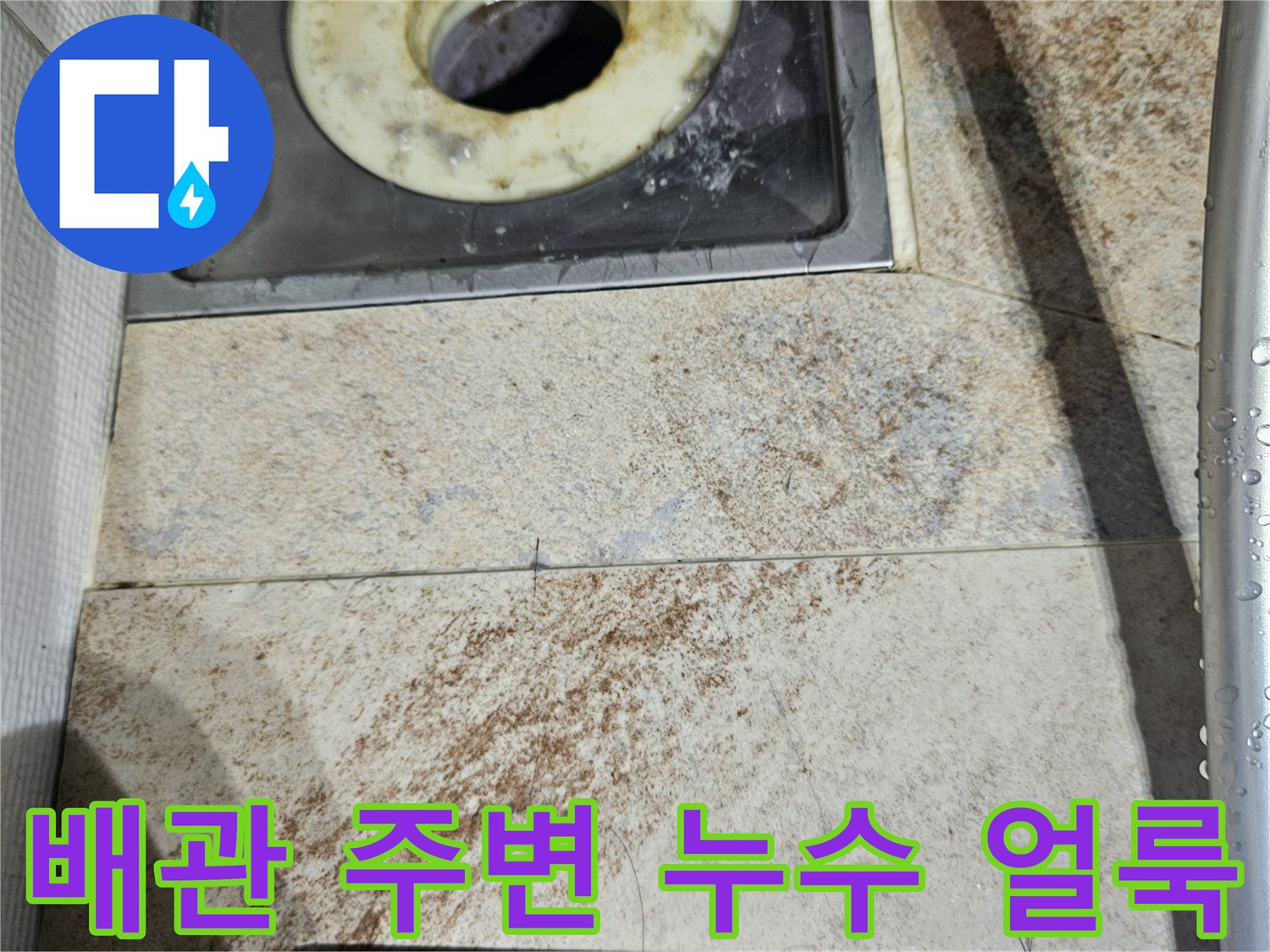 배수구-주변-타일의-젖은-얼룩-상태
