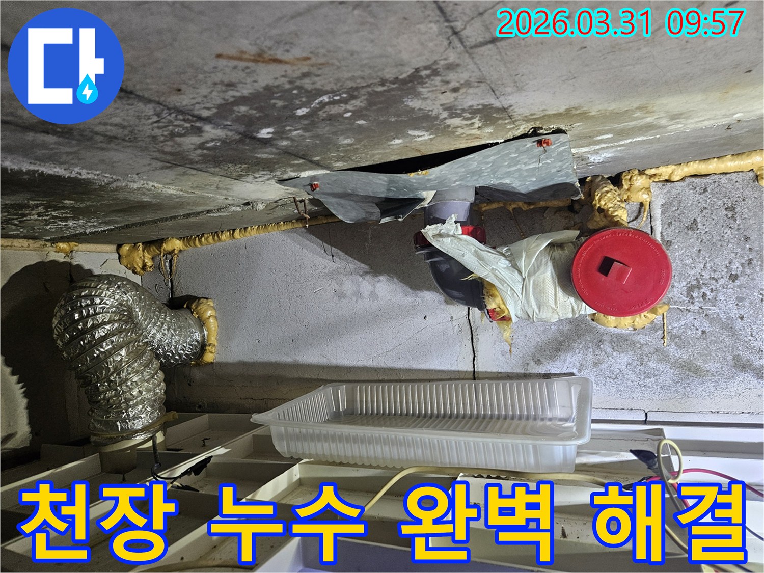 빌라 천장에서 발생한 누수-전문가가 현장을 점검하고 완벽하게 해결하는 모습