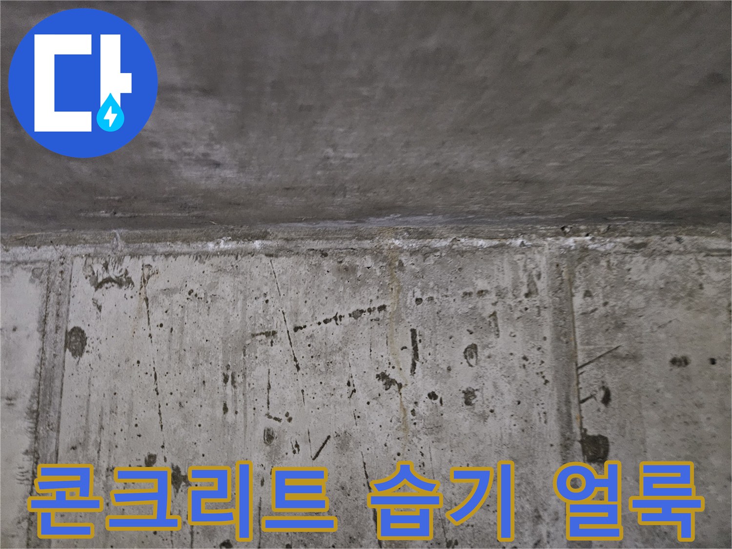현장 점검 사진-물샘으로 인해 젖어 있는 천장 슬래브