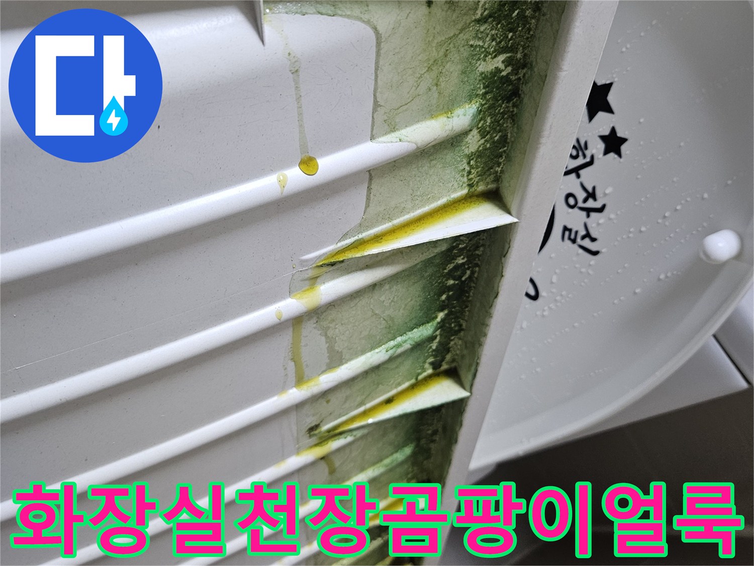 화장실-천장-점검구-내부-배관-주변-곰팡이와-물때-흔적