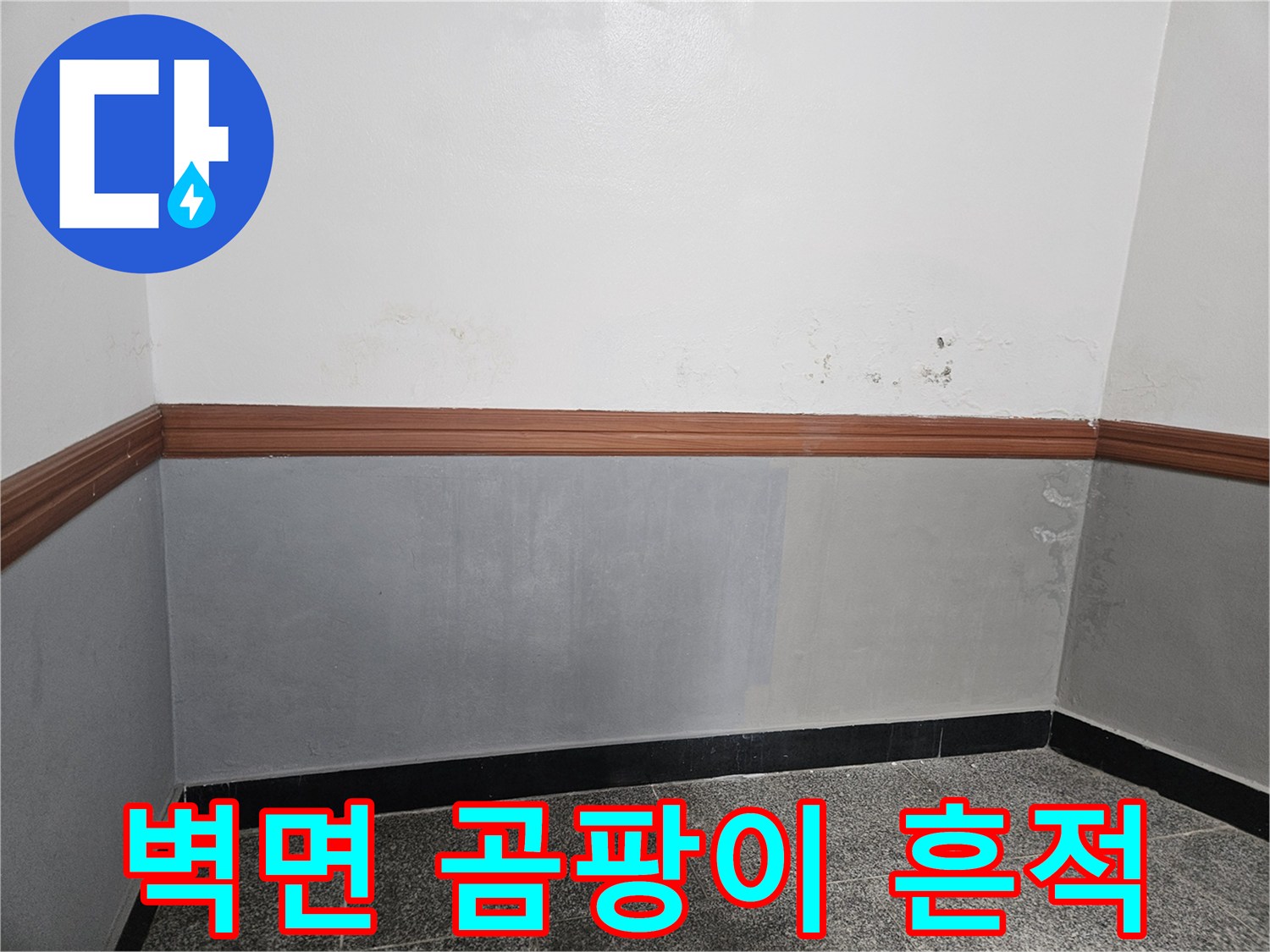 양평 현장-상단 벽면의 검은 곰팡이 및 얼룩 부위