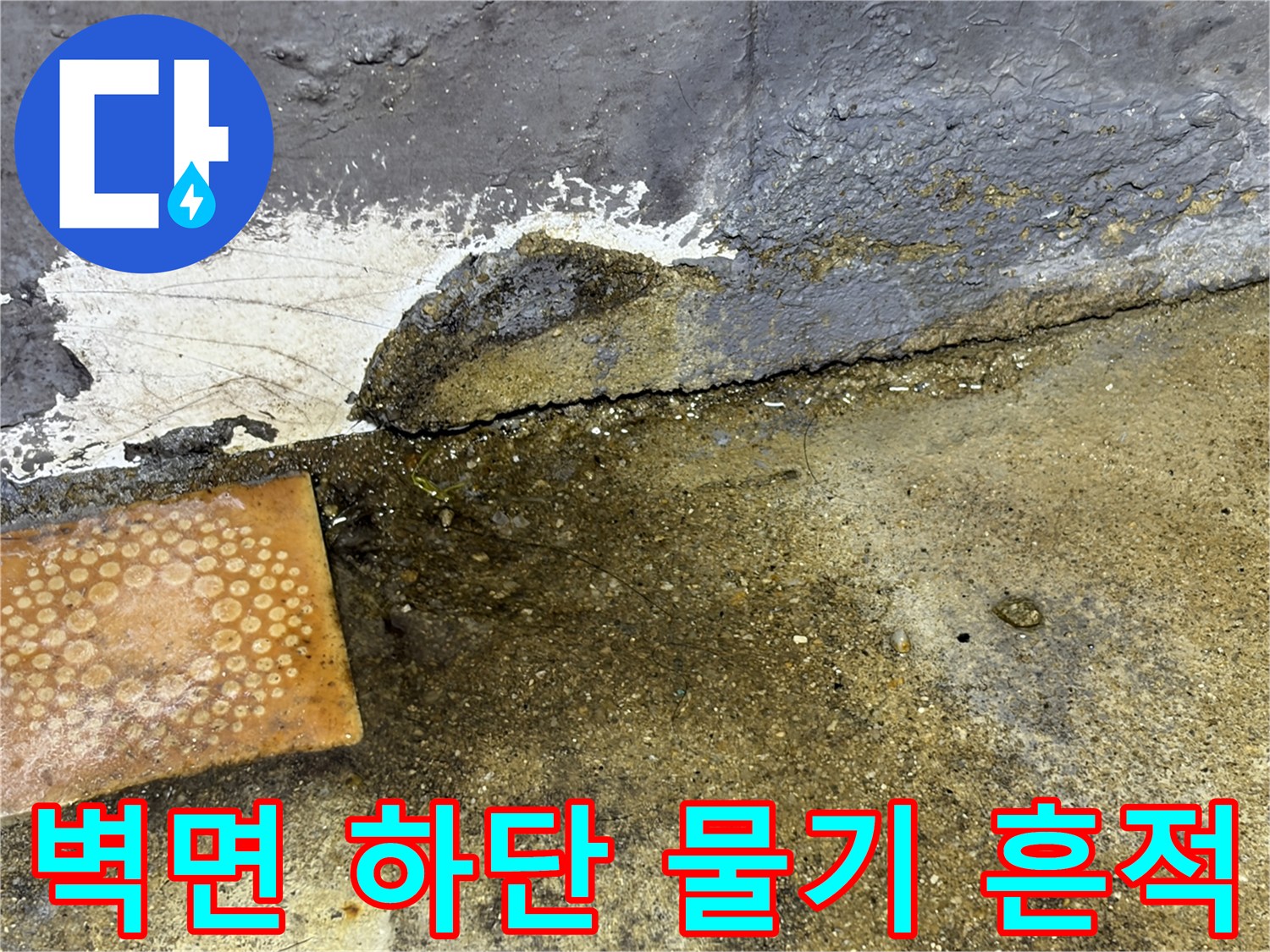 습기가-스며든-벽면과-젖은-바닥-경계