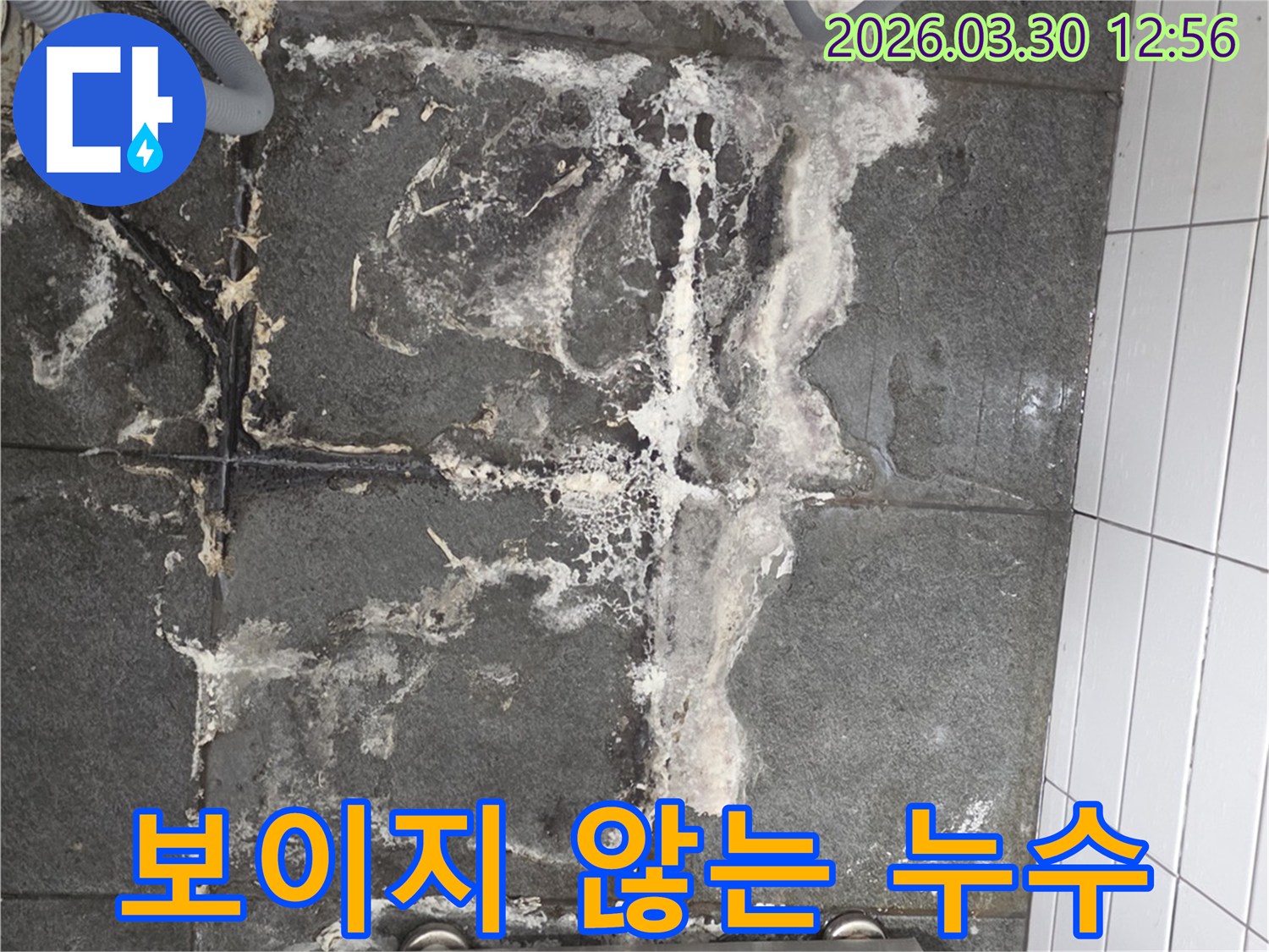 바닥 타일의 백화현상과-젖은 흔적은-정밀한 누수탐지 장비를 사용하여-숨겨진 누수 지점을 찾아야 함을 시사합니다.
