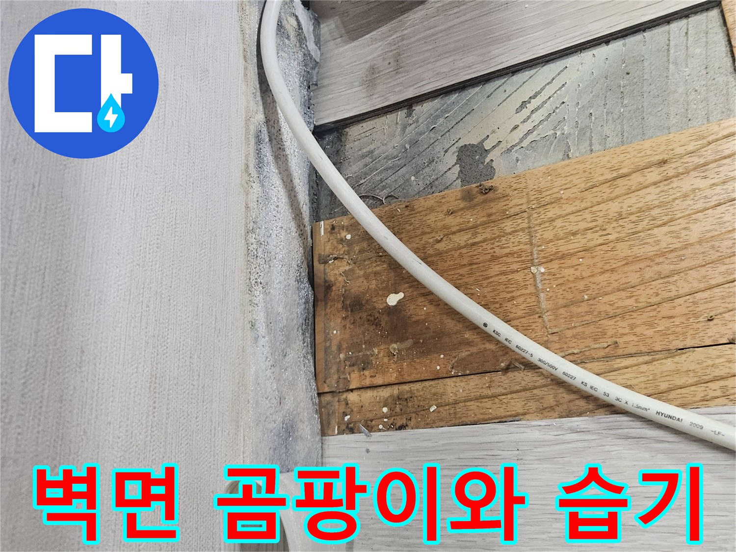 콘센트 주변-벽면-곰팡이-발생-상태