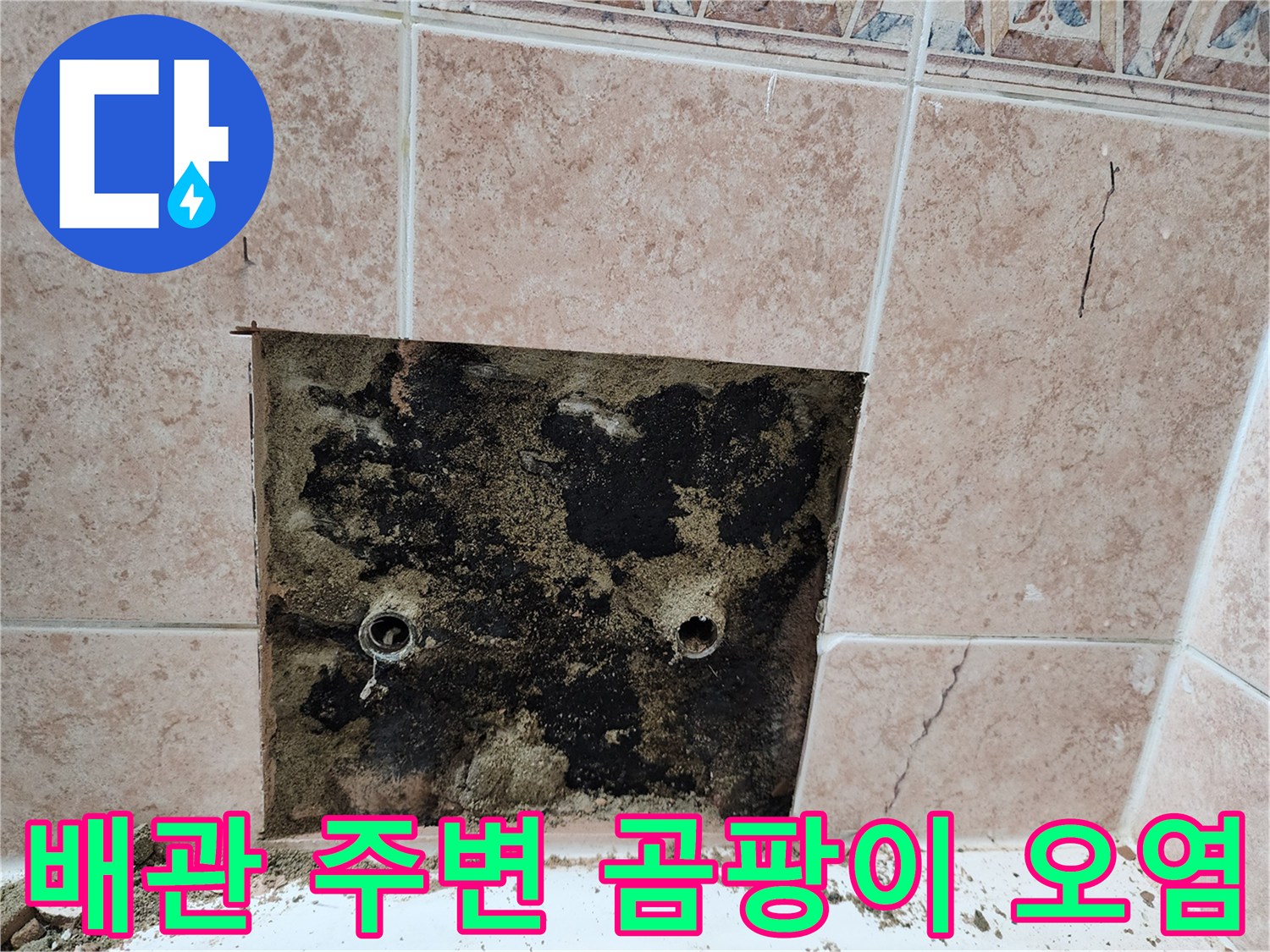 타일-제거-후-확인된-배관-주변의-오염된-상태