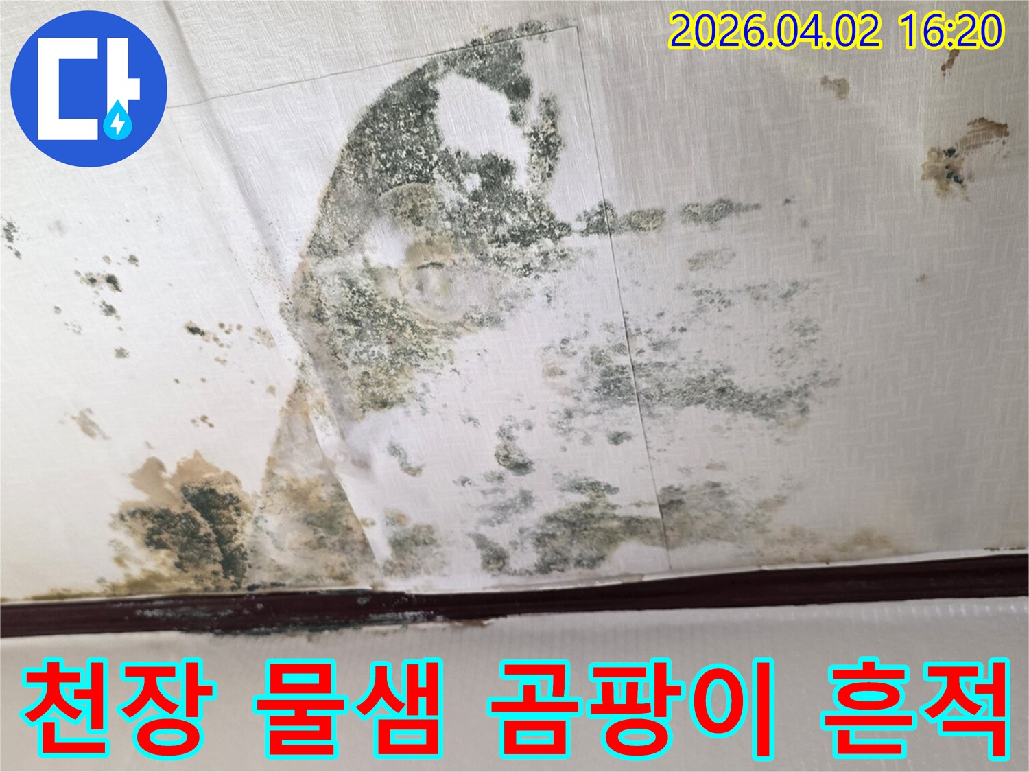 건물-내부-천장에-발견된-누수-및-곰팡이-오염의-전형적인-모습을-보여줍니다