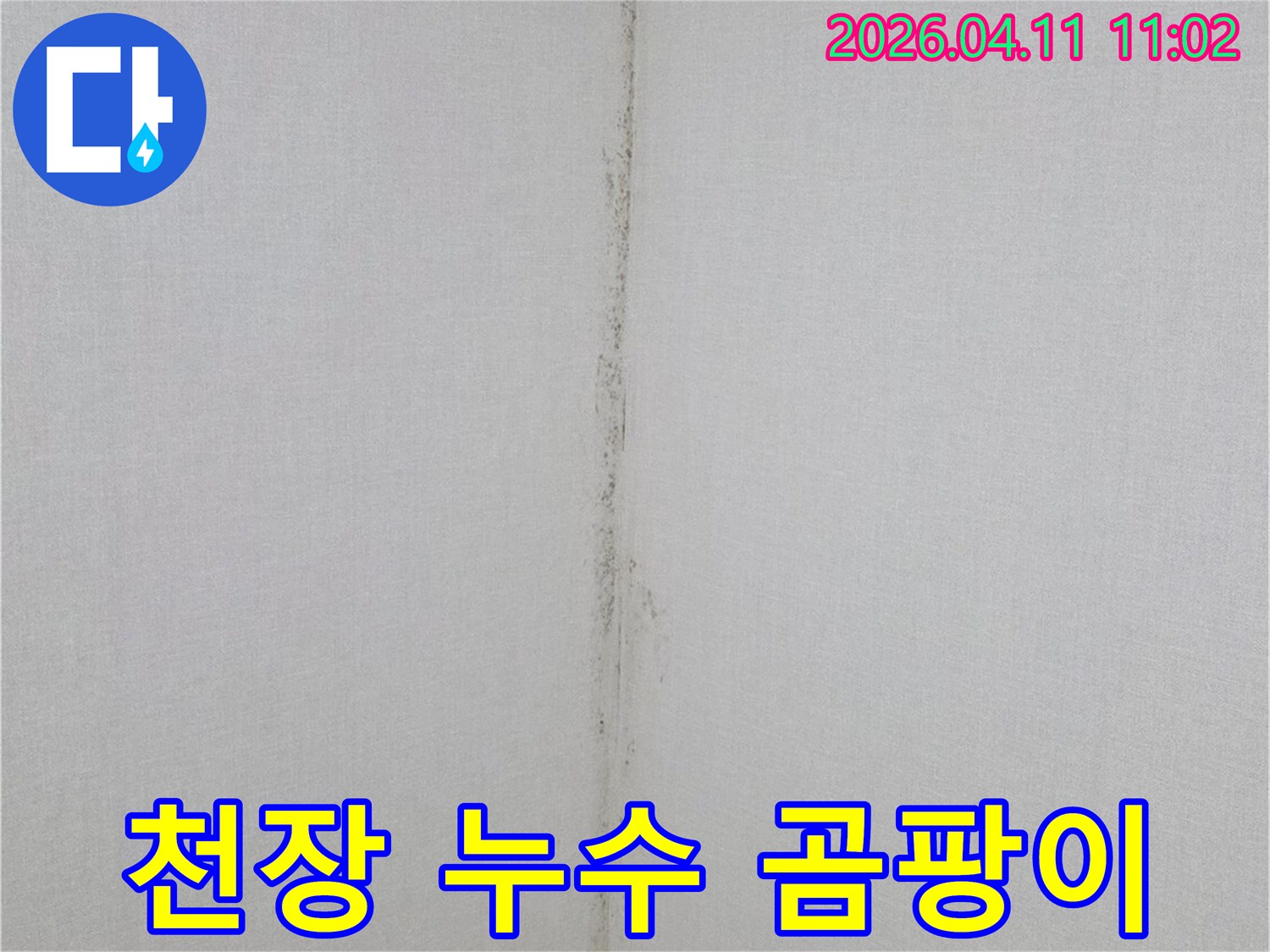천장-누수로-인한-벽면-곰팡이-발생-현장-사진
