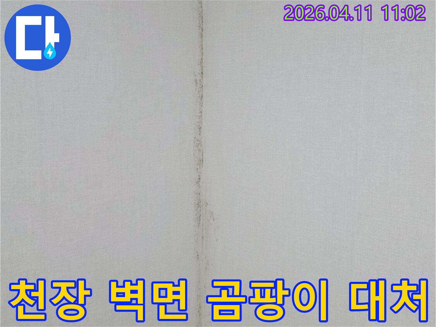 천장과-벽면-경계에-발생한-누수-흔적과-곰팡이-오염을-보여주는-사진입니다.