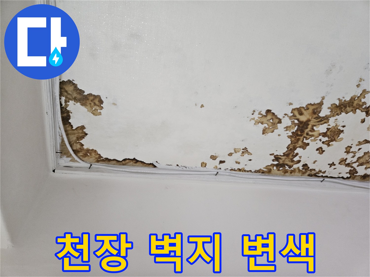 강동구 아파트 천장-벽지 변색 및 얼룩 현상
