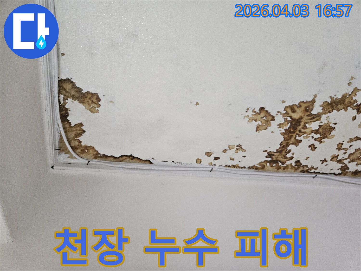 천장 표면에 광범위하게 퍼진 물-자국과-마감재-손상으로-인해-심각한 누수-피해가-발생한 현장