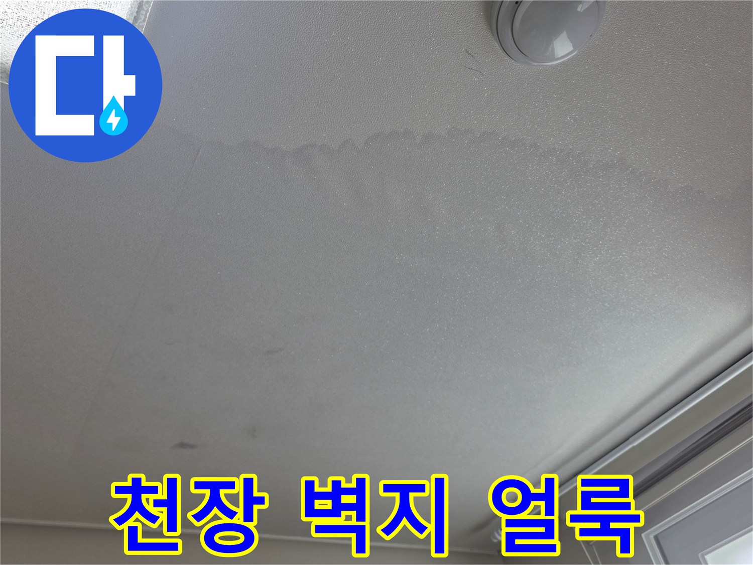 인천 부평구 아파트 천장 벽지 변색 현상