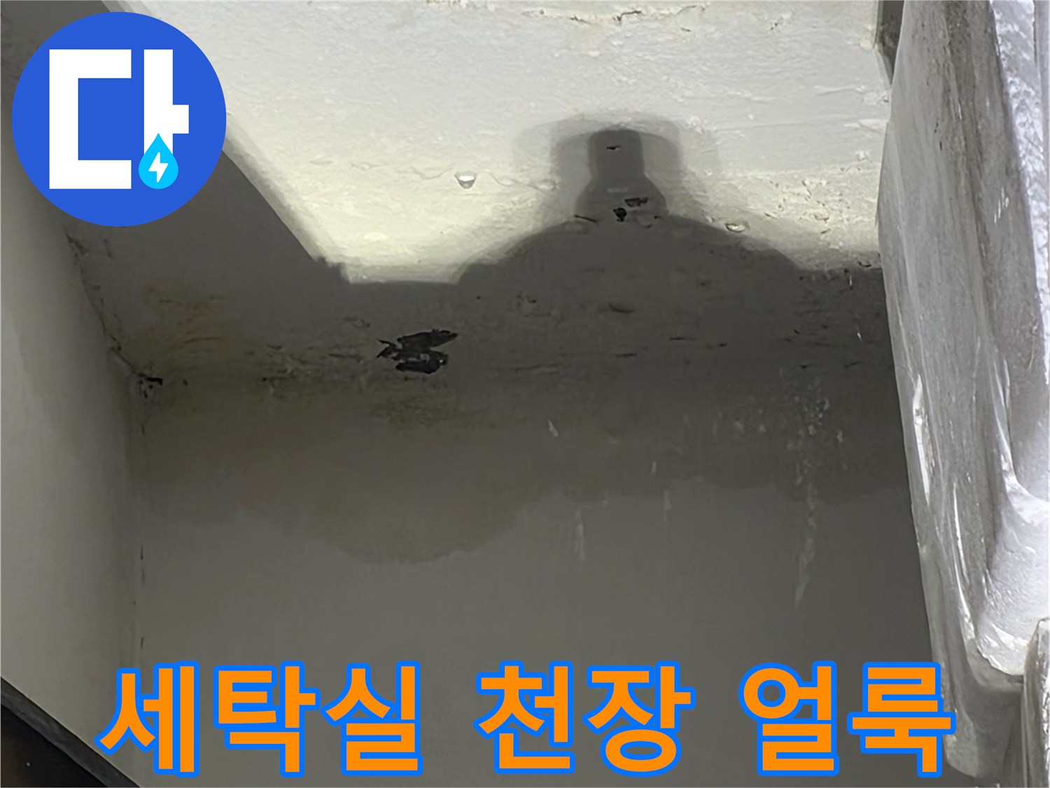 도봉구 아파트 세탁실 천장 벽면의 젖은 얼룩과 페인트 들뜸 현상