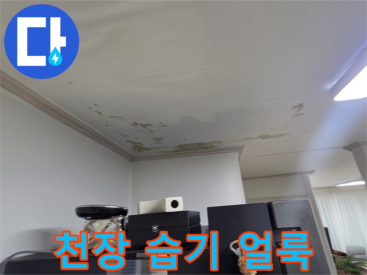 세탁실 천장에 발생한 광범위한 누수 흔적과 변색