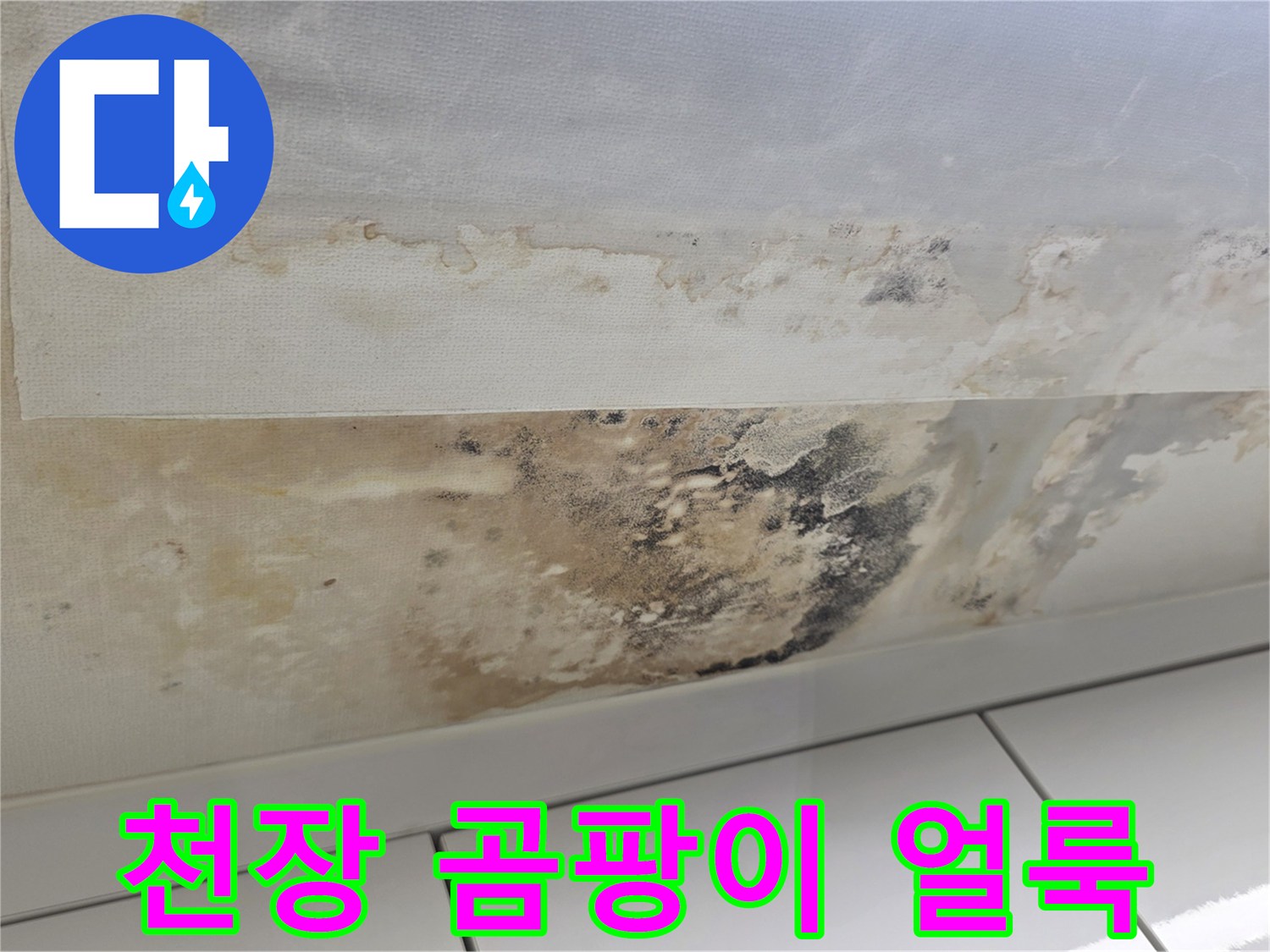 누수가 발생하여 젖어있는 천장 벽지의 심한 변색 상태