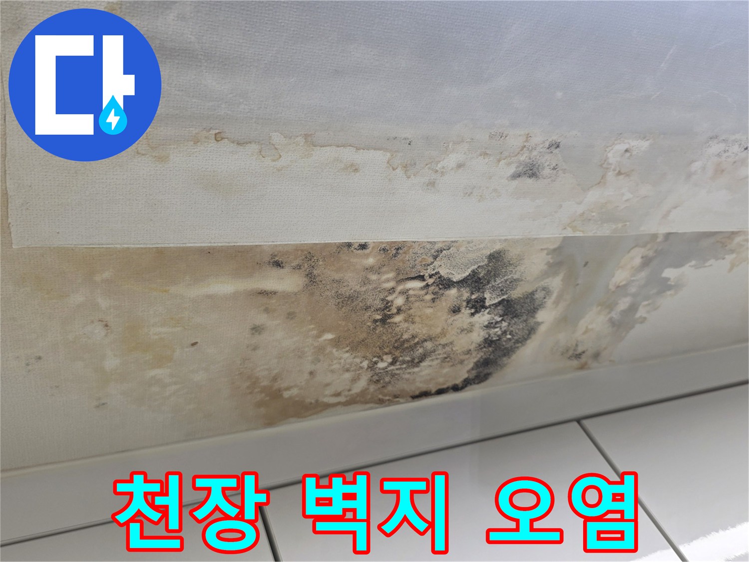 누수로 인해 젖고 변색된 천장의 상세 모습
