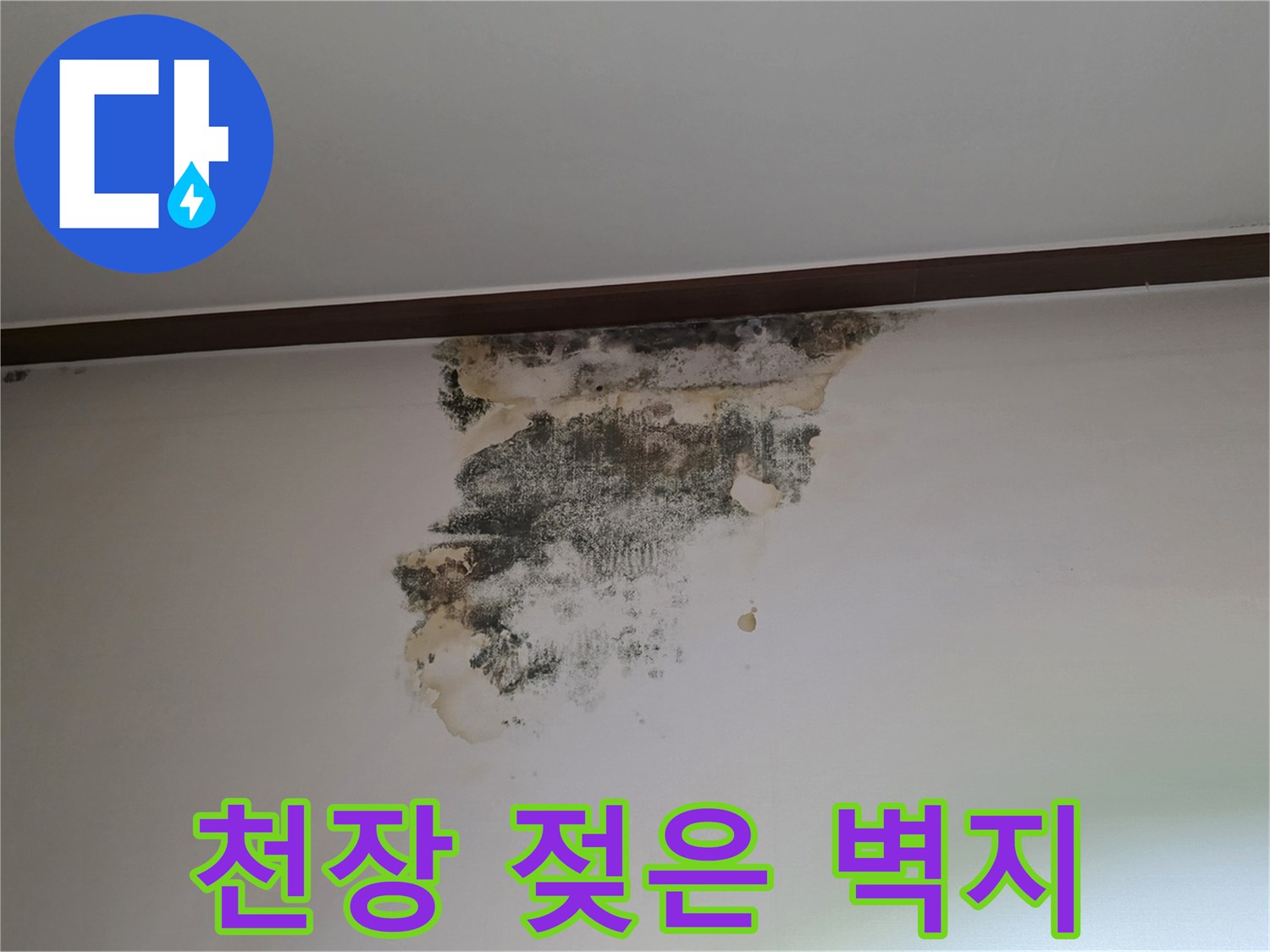 물샘으로 인해 오염된-아랫집 거실 천장 벽면 상세