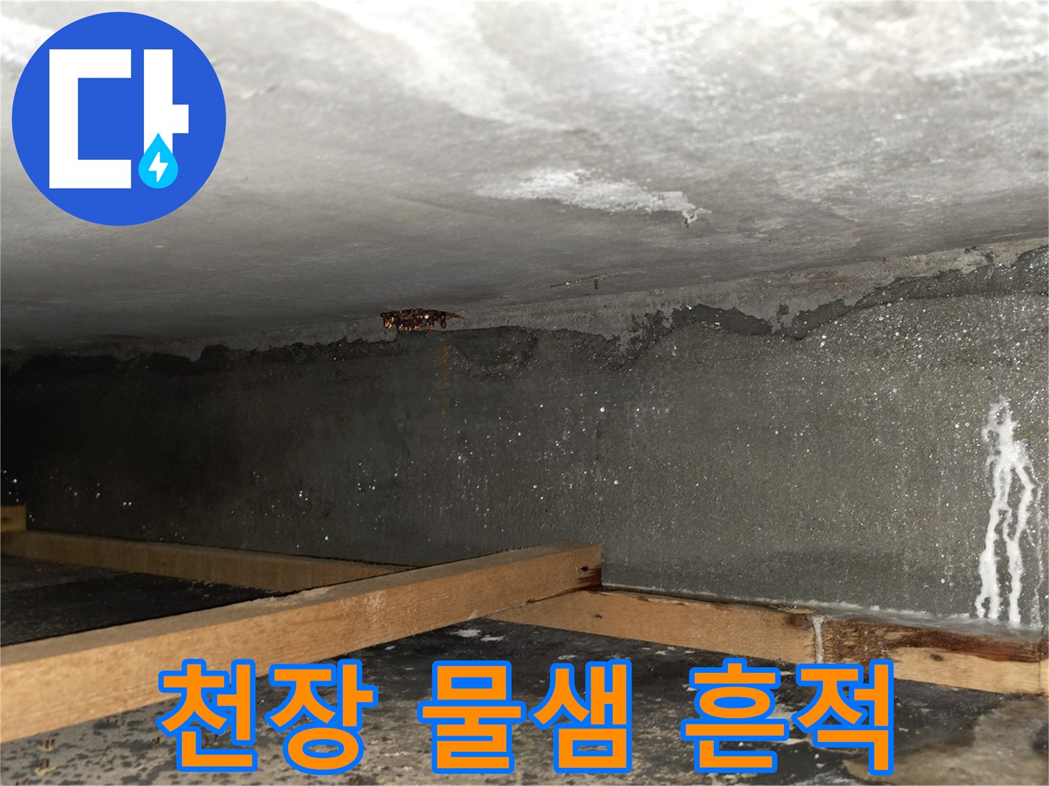 아랫집-천장-콘크리트-물샘-및-습기-상태