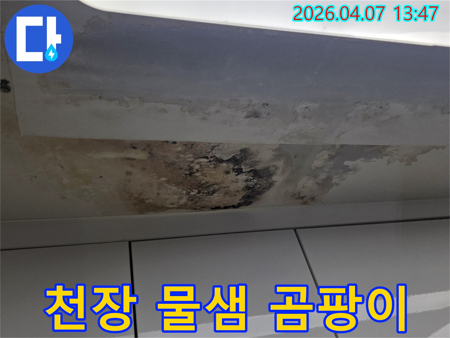 아파트-천장에-발생한-물샘과-그로-인한-심각한-곰팡이-오염-상황