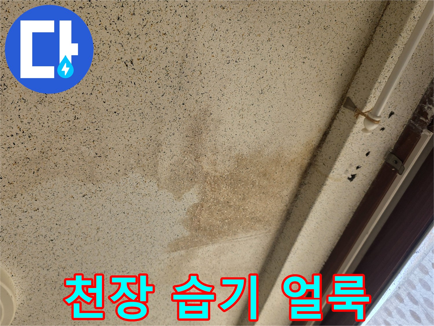 천장 몰딩 부근까지 번진 물샘 흔적과 오염된 도배 상태