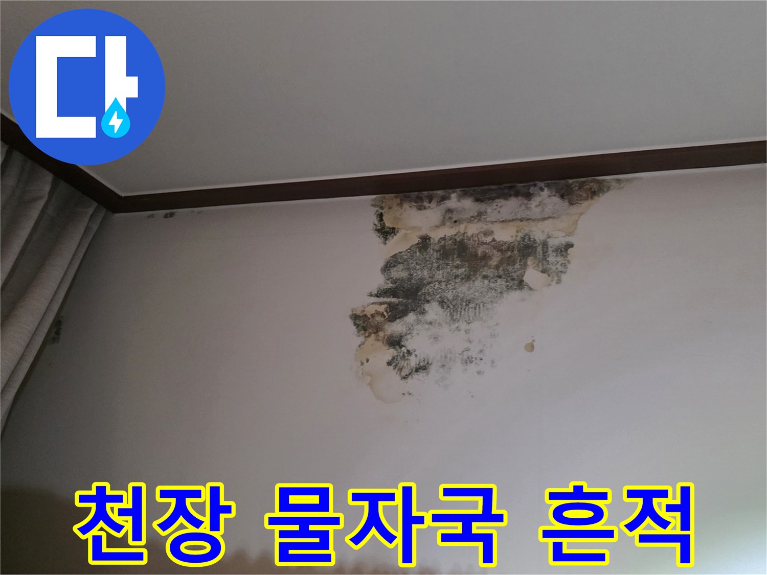 천장 몰딩 부근에 발생한 심각한 수분 침투 및 곰팡이 상태