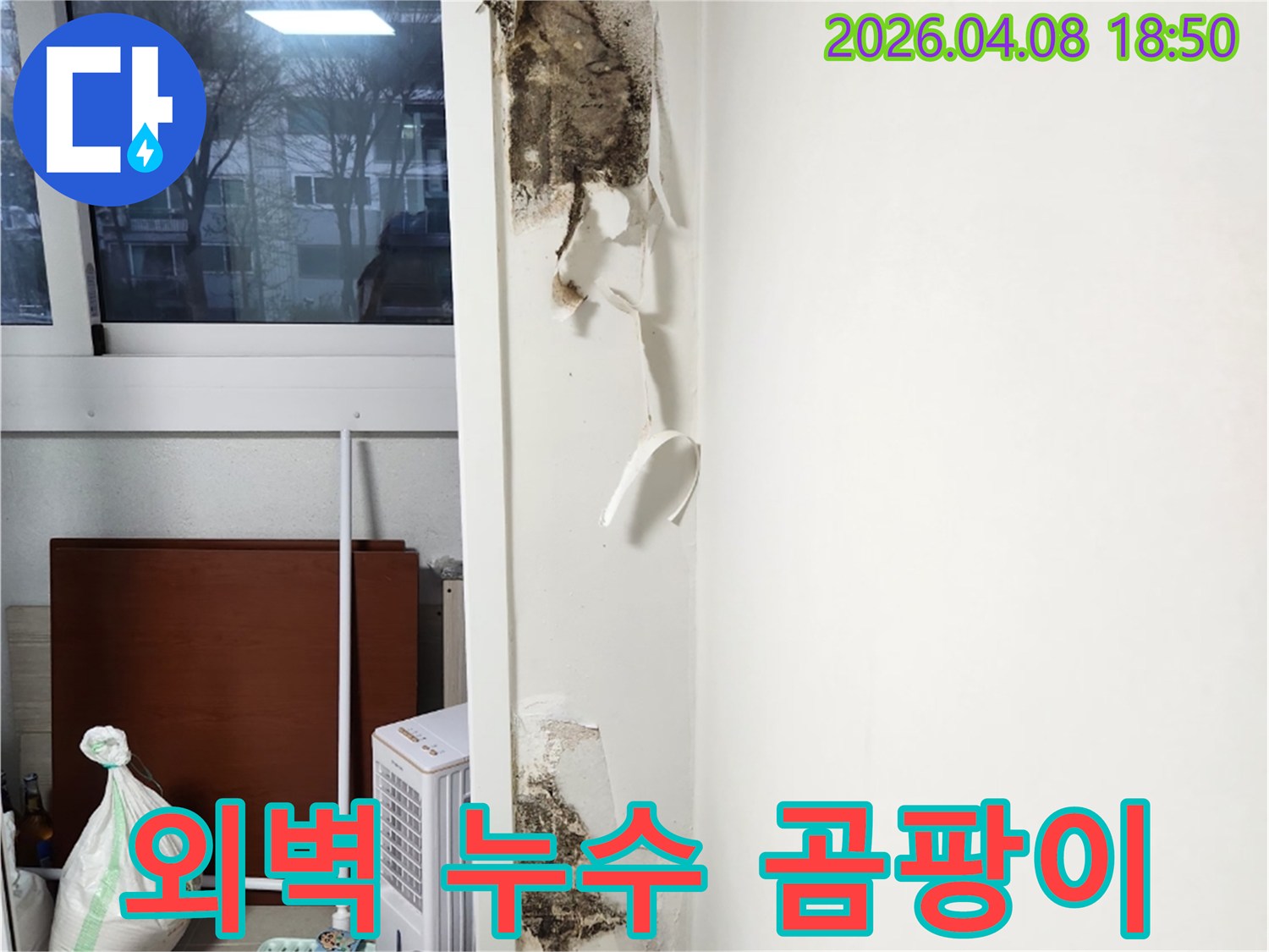 창문-옆-벽면에서-발견된-벽지-손상과-함께-심각하게-번식한-곰팡이의-모습을-담은-누수-현장-사진입니다