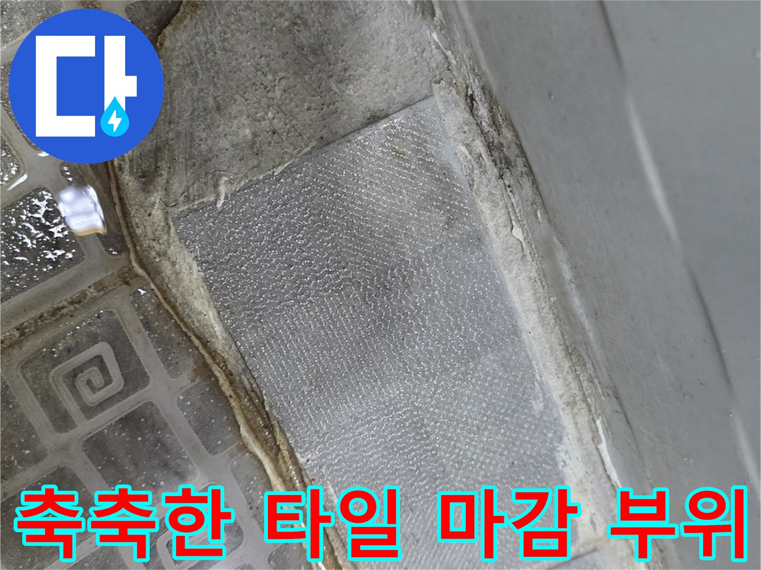습기가-배어있는-화장실-타일-하단부